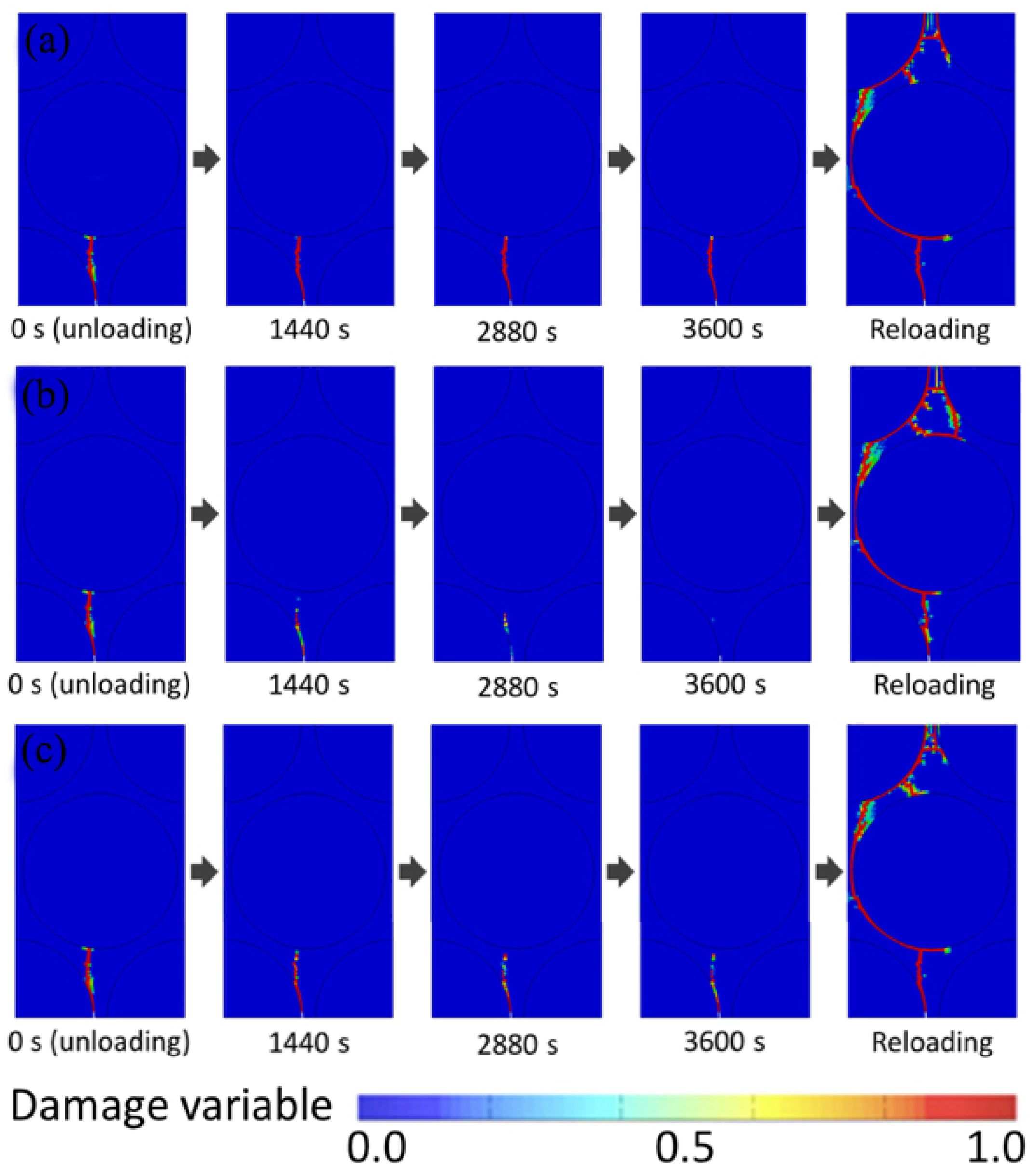 Coatings 12 01724 g007
