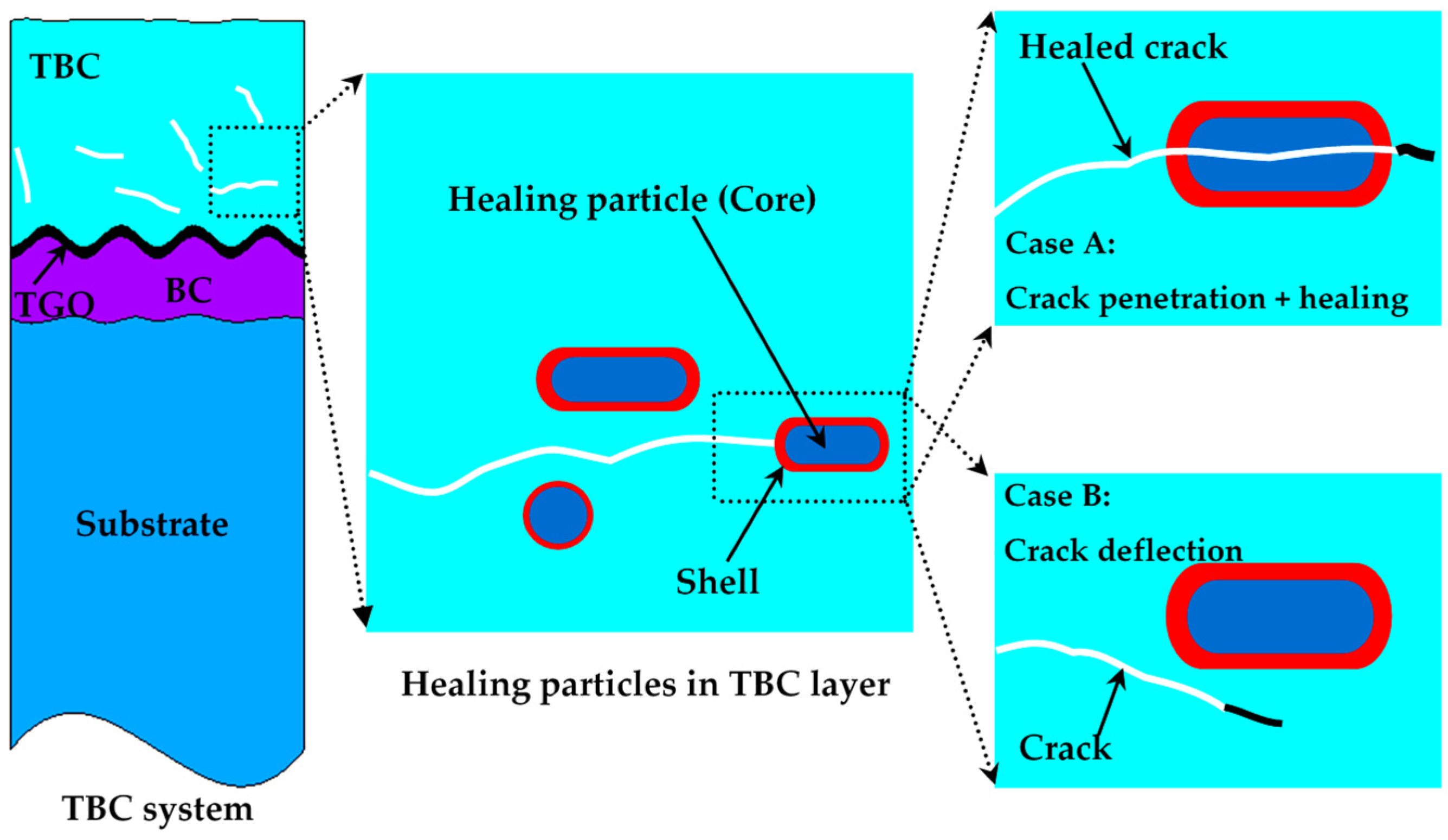 Coatings 12 01724 g008