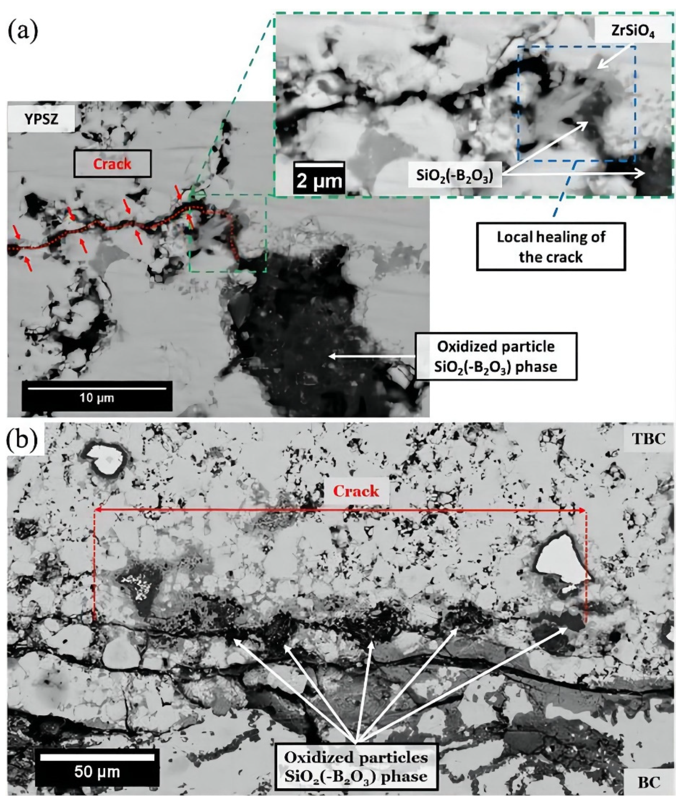 Coatings 12 01724 g011