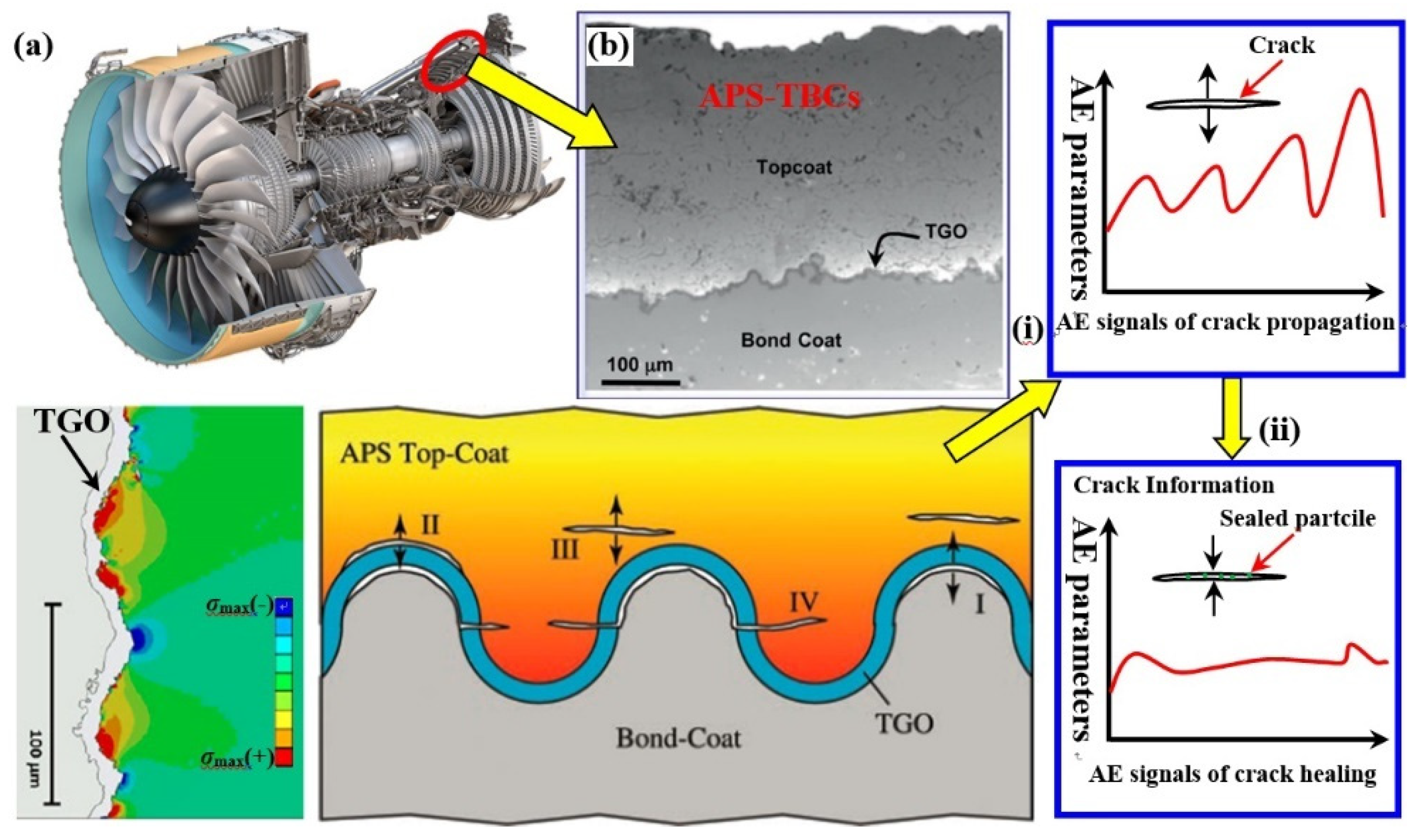 Coatings 12 01724 g016