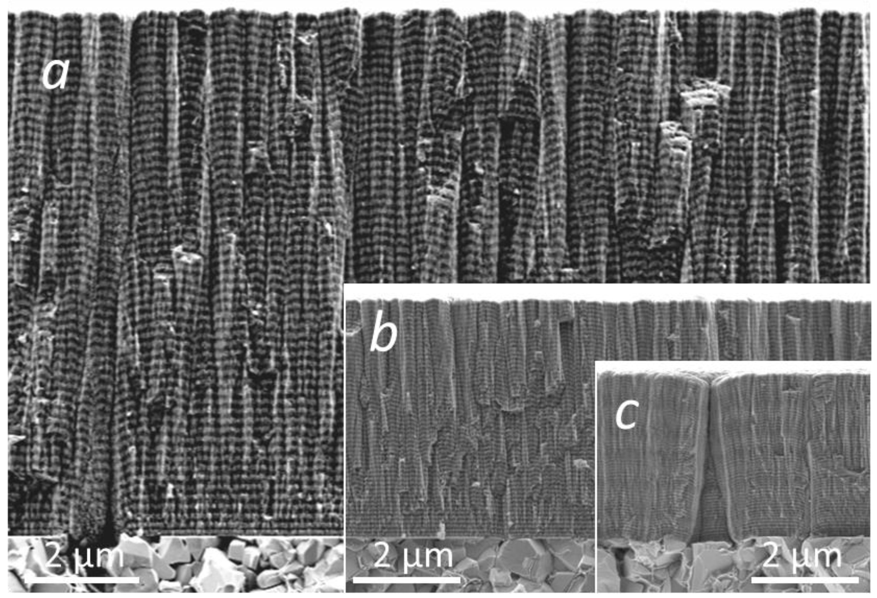 Coatings 12 01725 g001 Coatings 12 01725 g001
