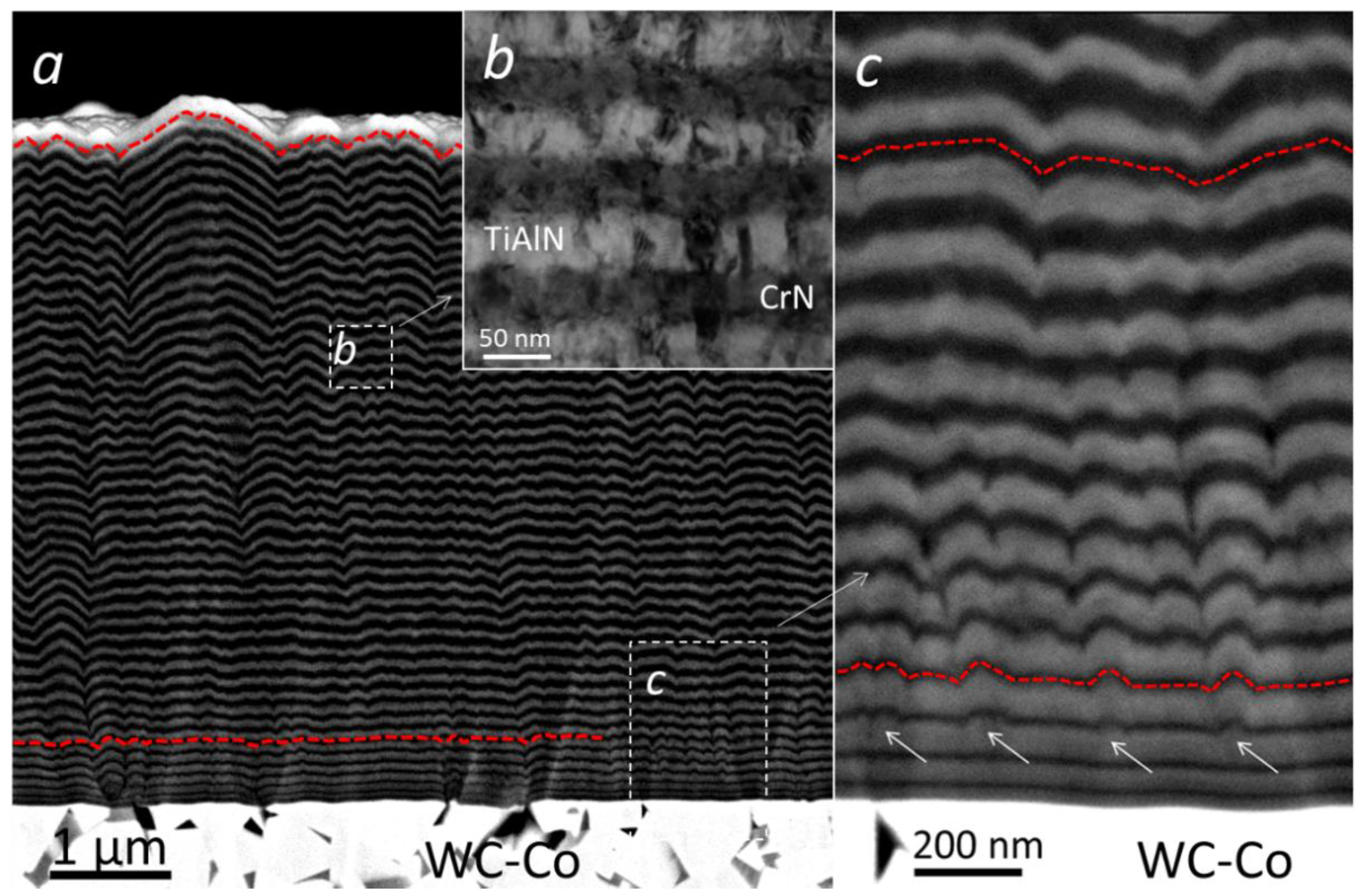 Coatings 12 01725 g005 Coatings 12 01725 g005