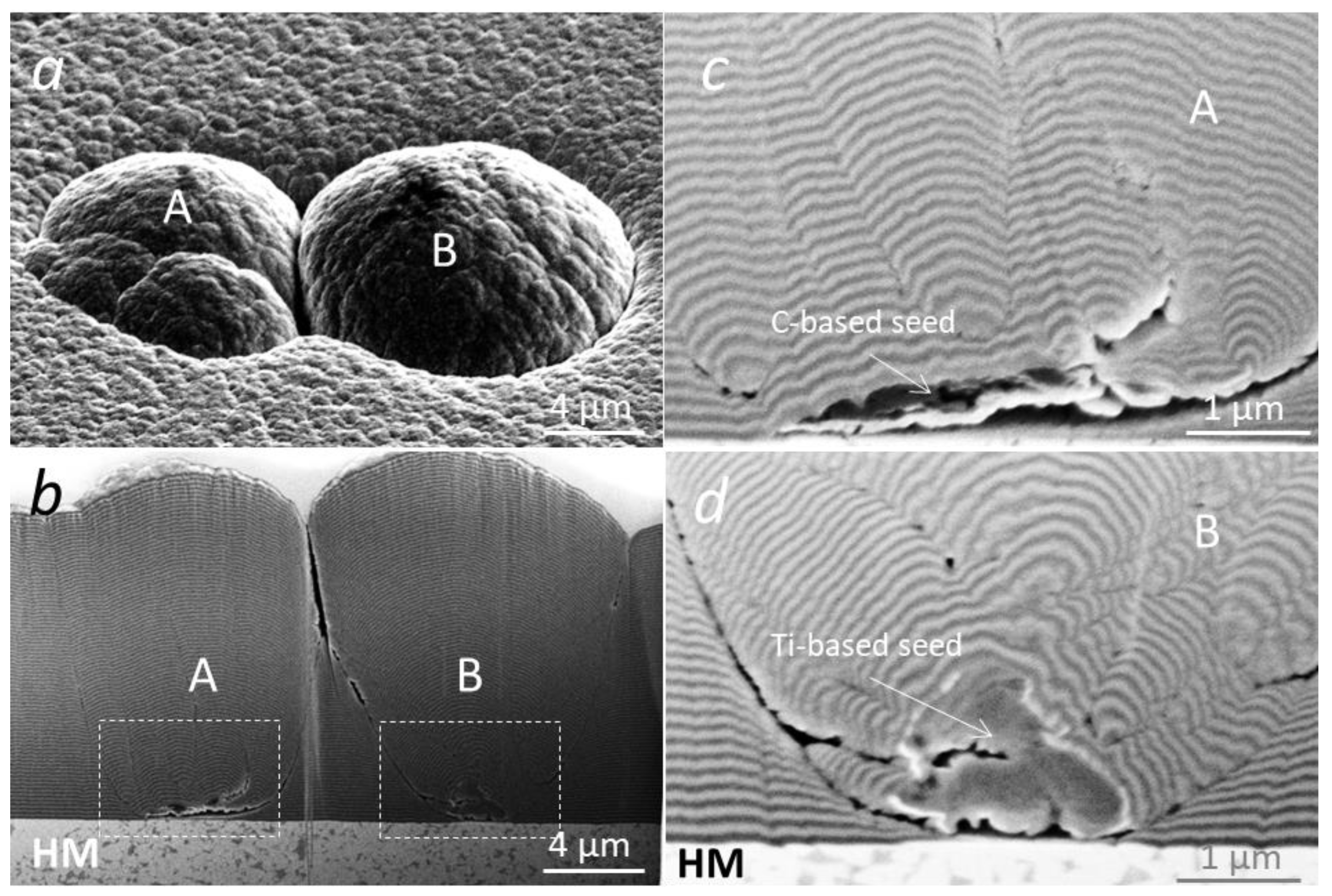 Coatings 12 01725 g013 Coatings 12 01725 g013