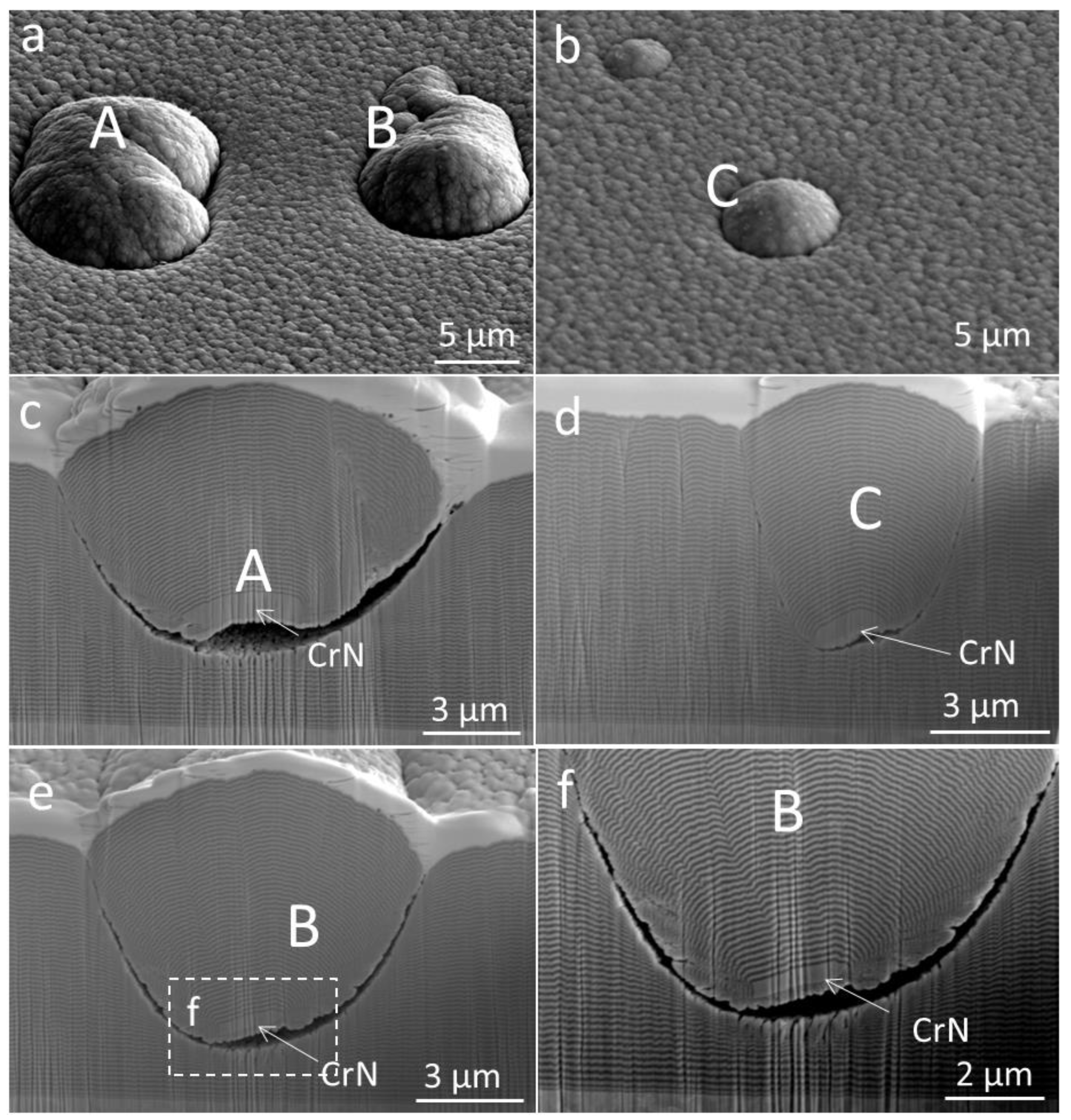 Coatings 12 01725 g014 Coatings 12 01725 g014
