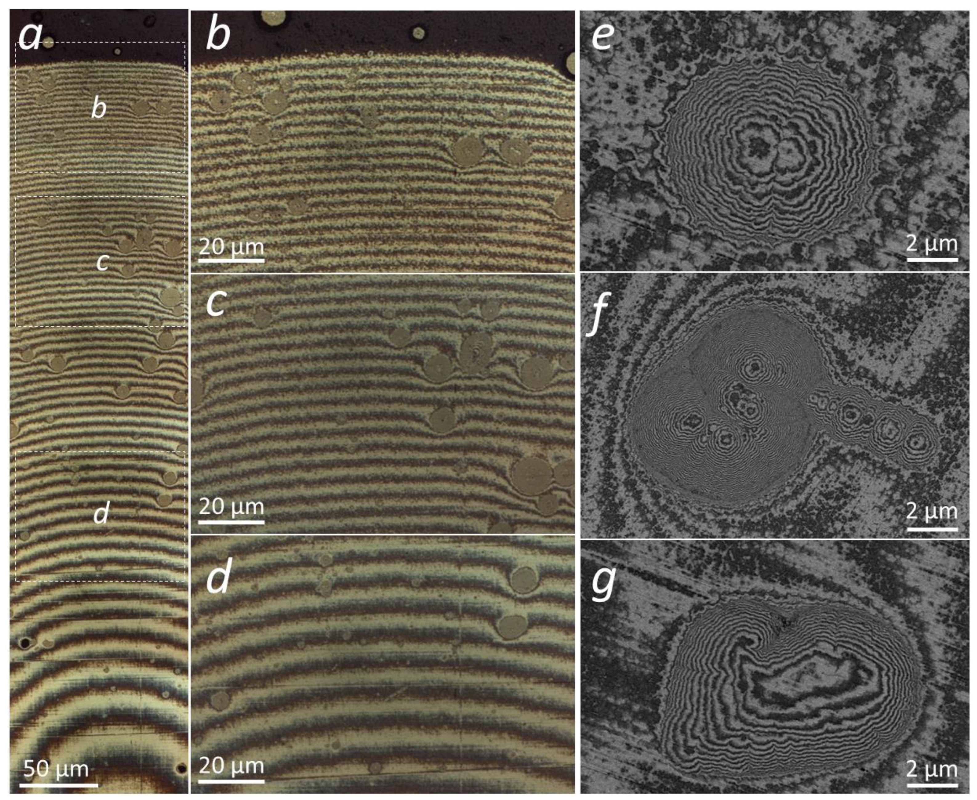 Coatings 12 01725 g015 Coatings 12 01725 g015