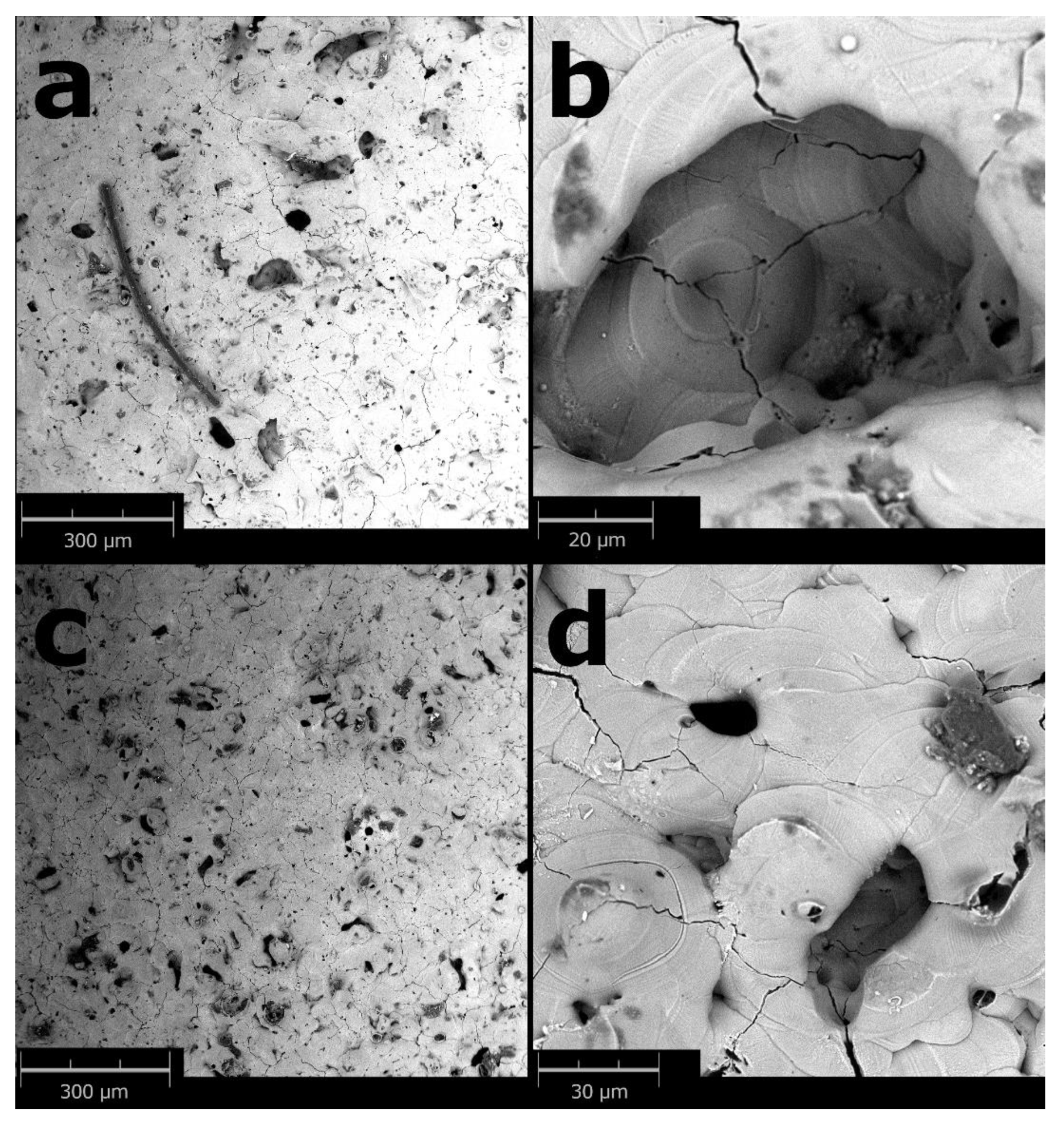 Coatings 12 01733 g001 Coatings 12 01733 g001