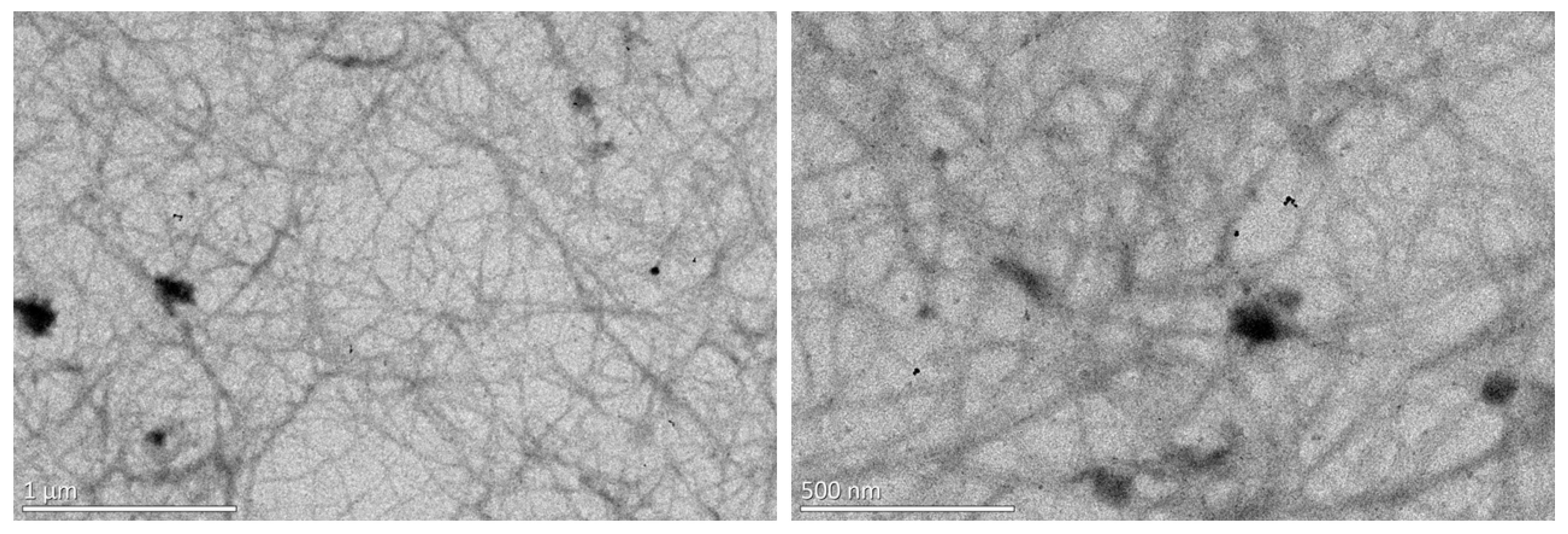 Coatings 12 01734 g009 Coatings 12 01734 g009