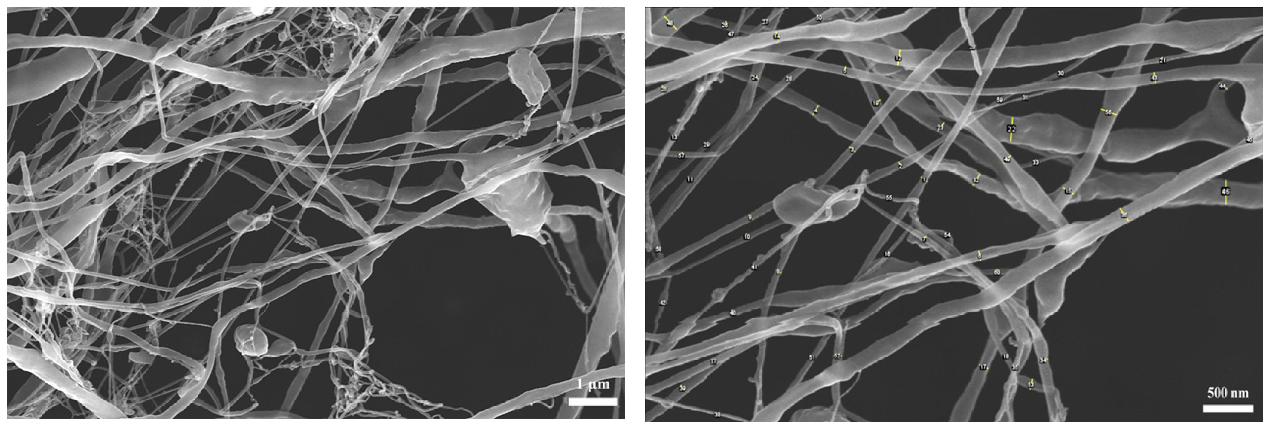 Coatings 12 01734 g010 Coatings 12 01734 g010