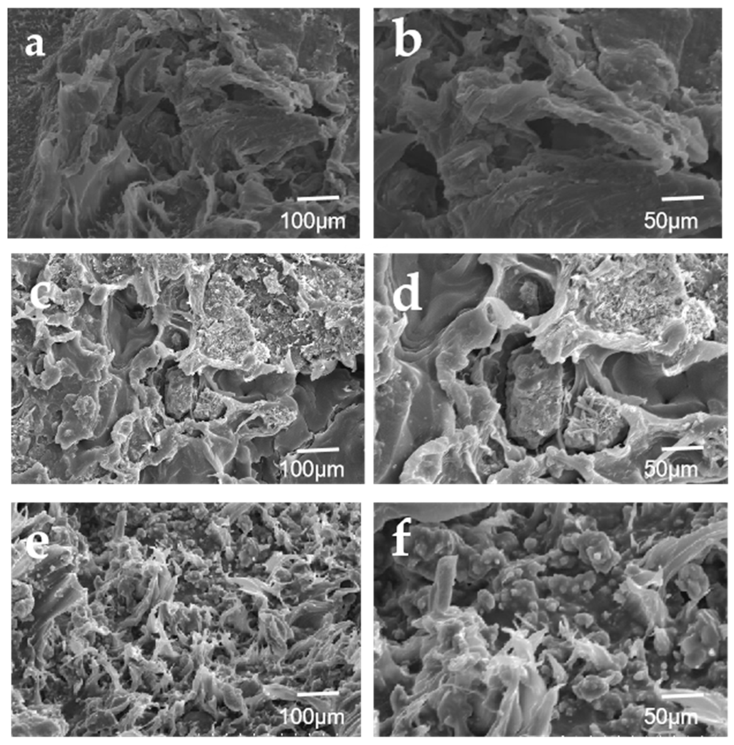 Coatings 12 01738 g011