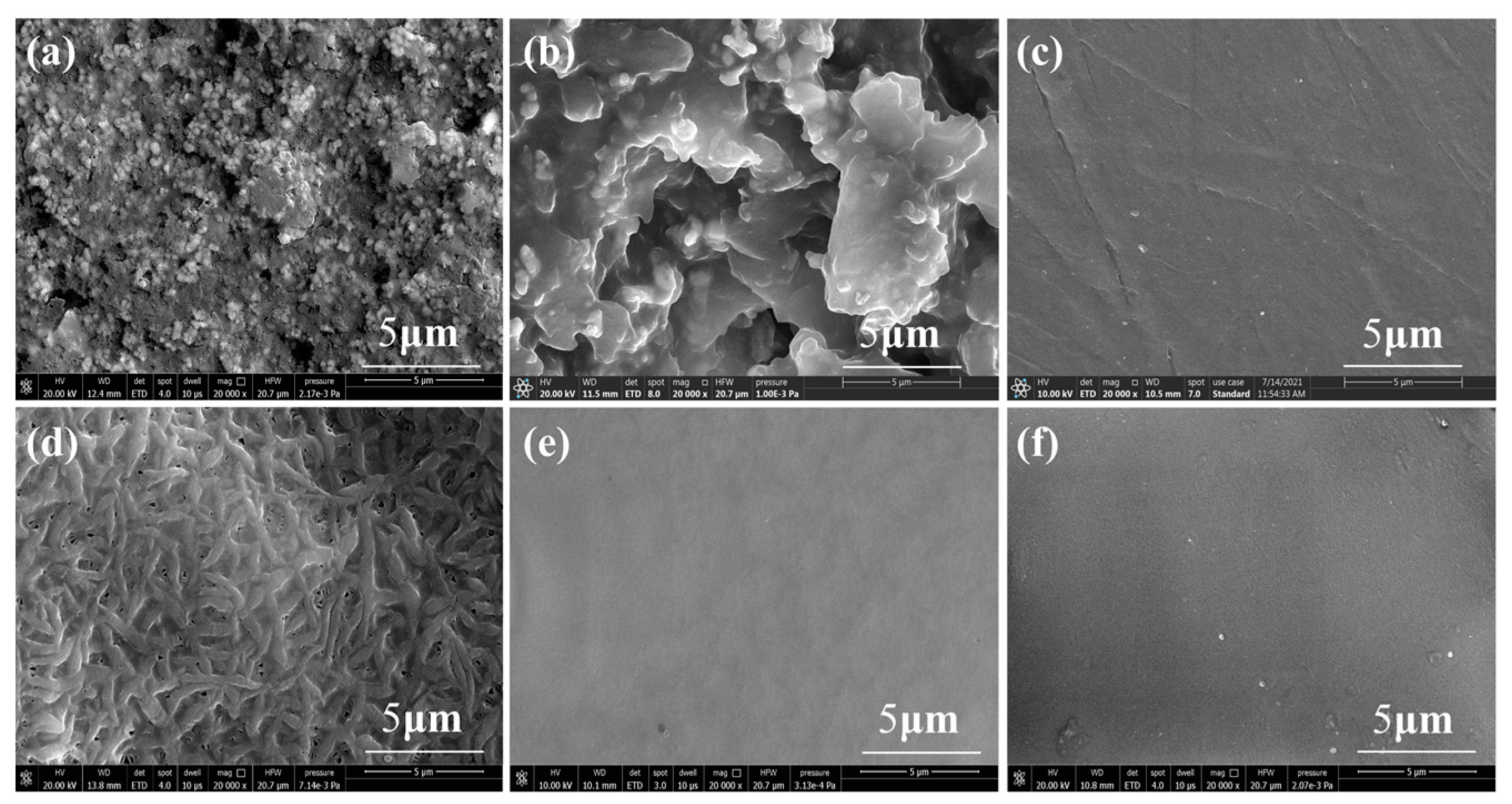 Coatings 12 01740 g005
