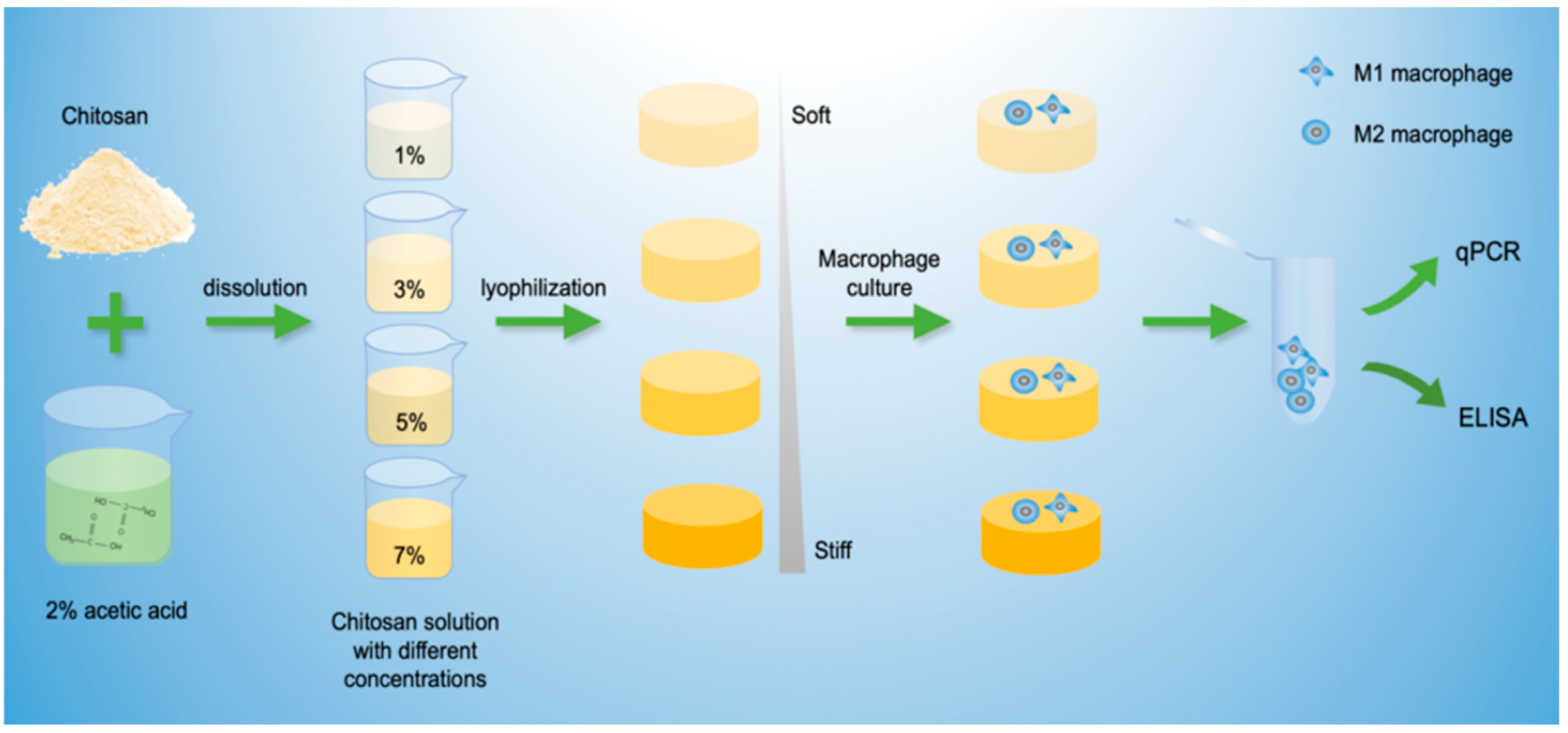 Coatings 12 01742 g001