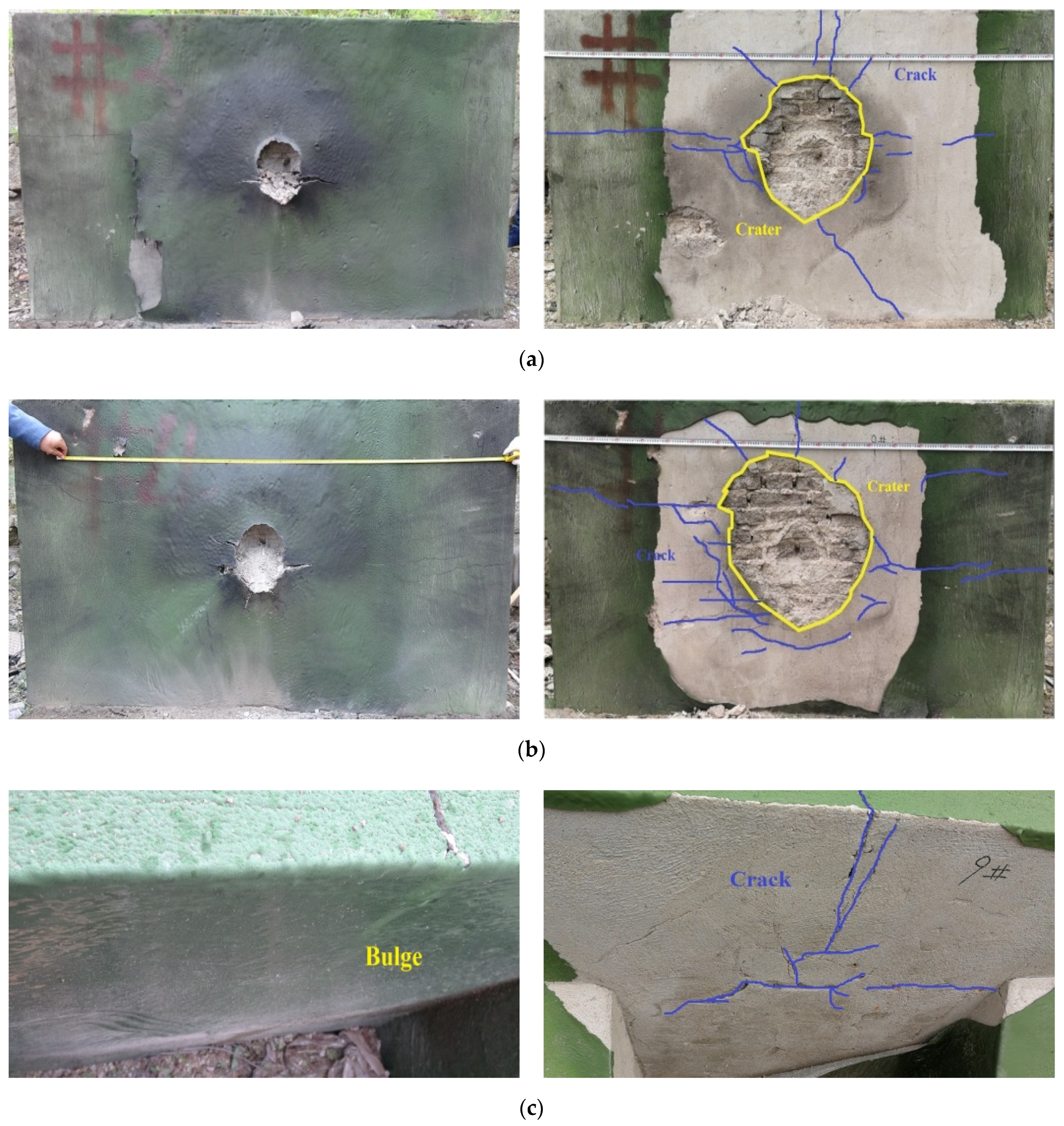 Coatings 12 01744 g012