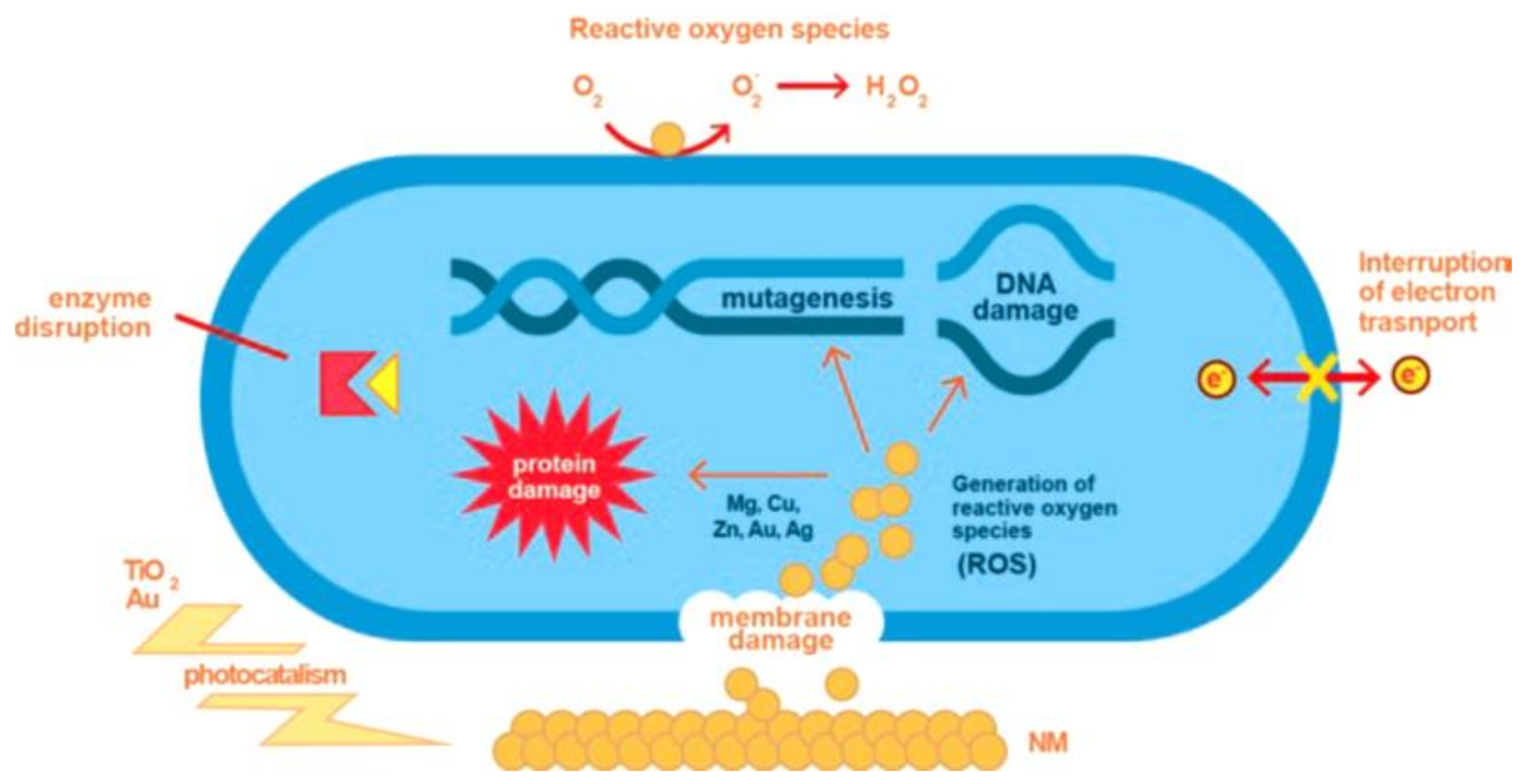 Coatings 12 01746 g012 Coatings 12 01746 g012