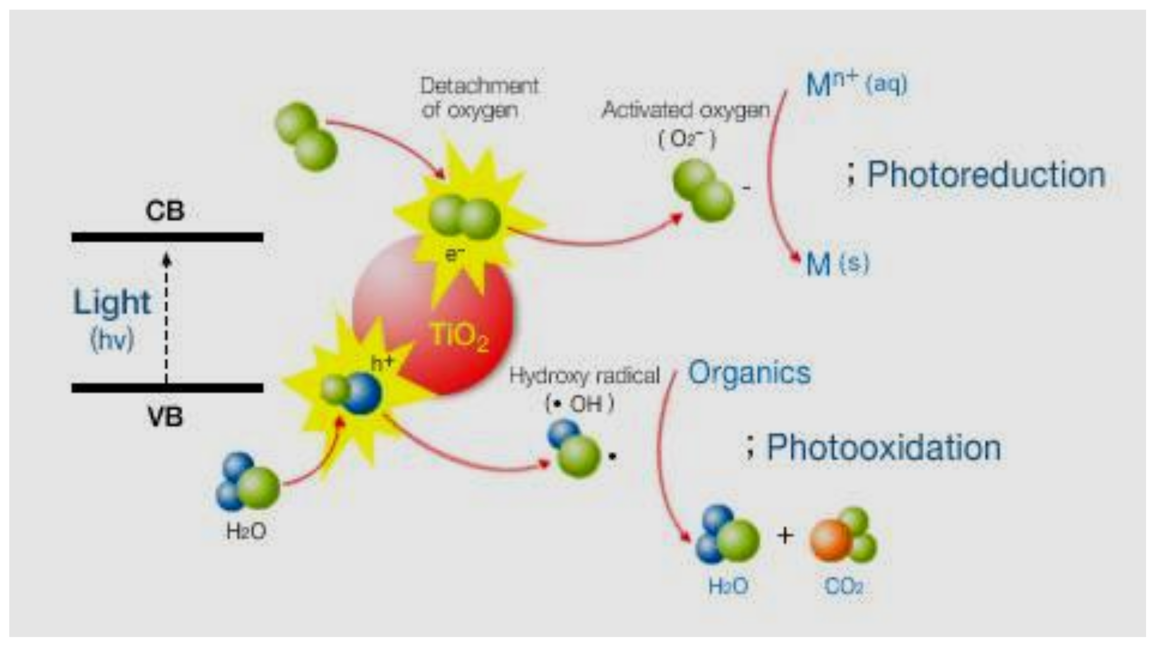 Coatings 12 01746 g013 Coatings 12 01746 g013