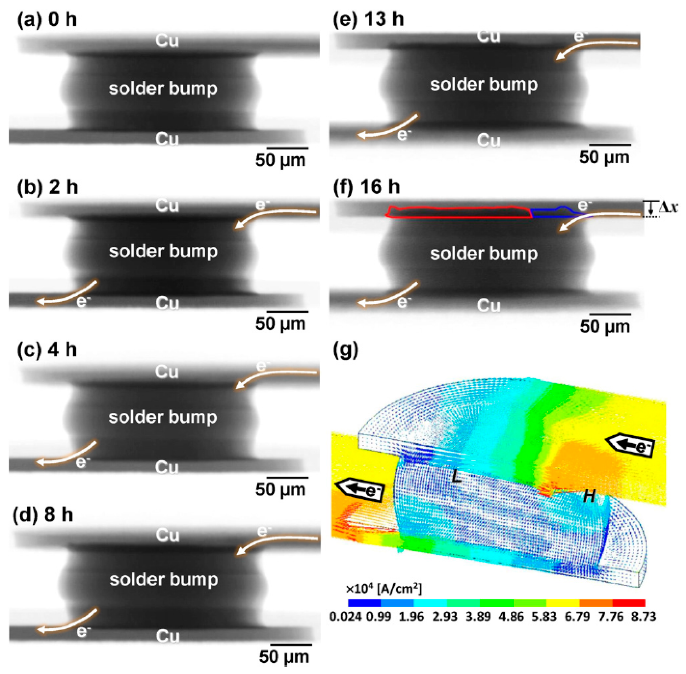 Coatings 12 01752 g002