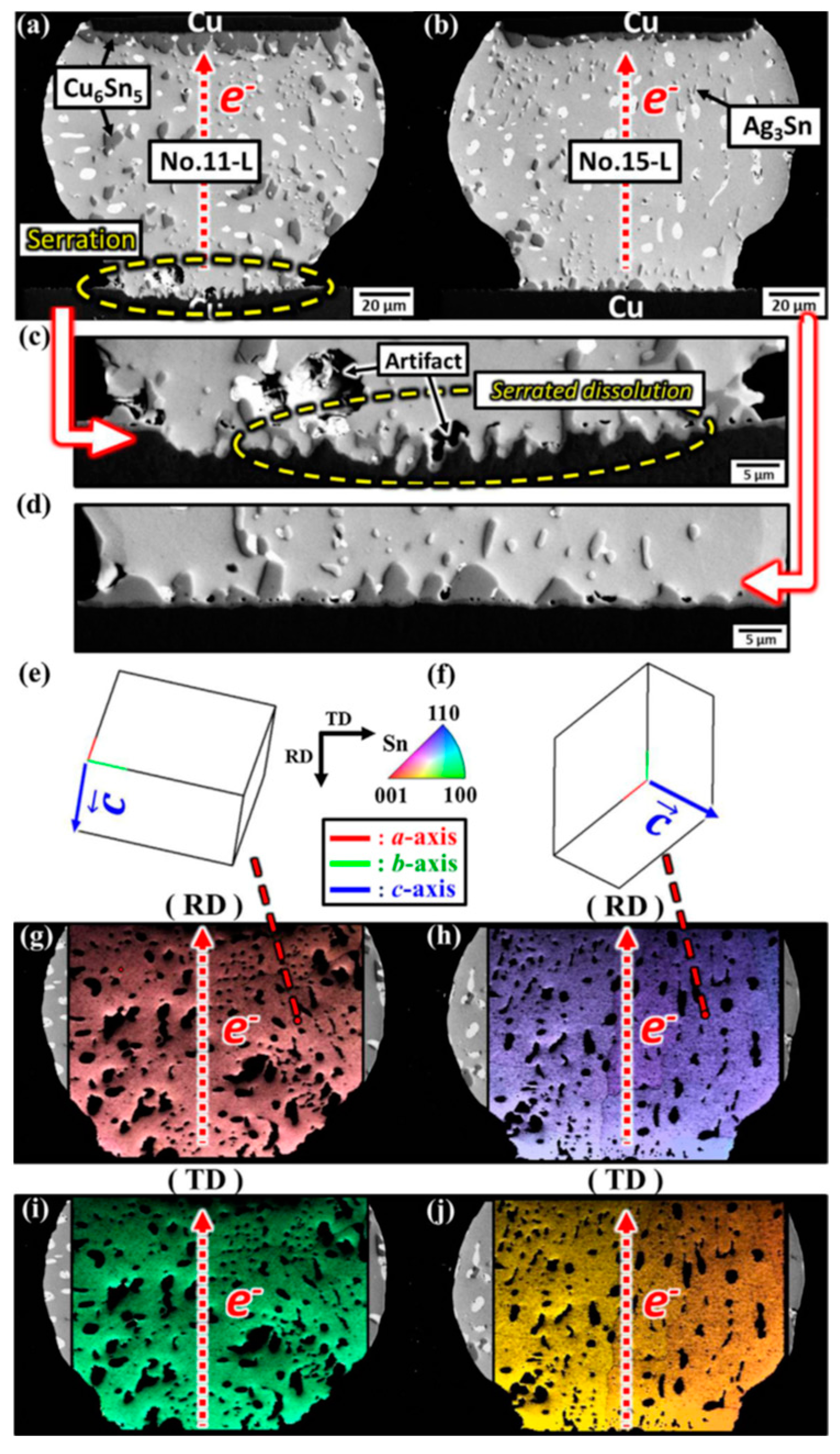 Coatings 12 01752 g003