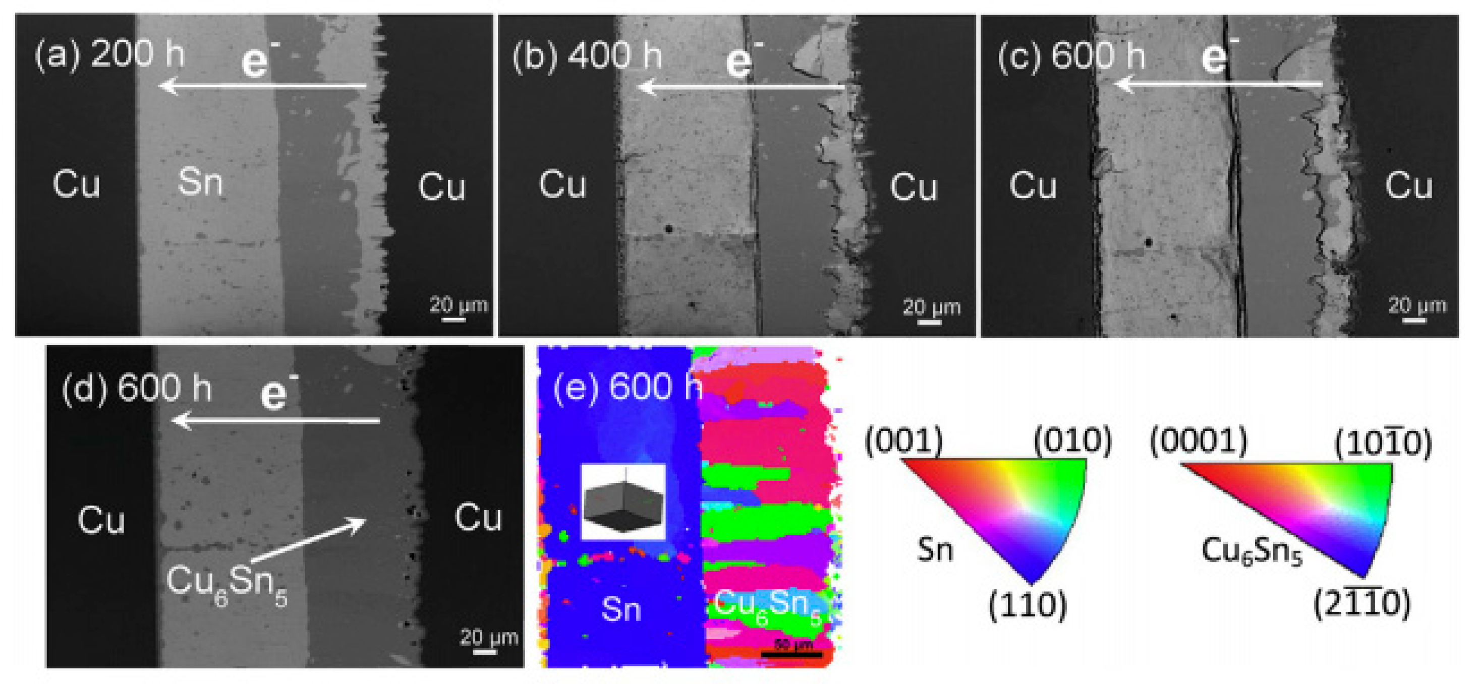 Coatings 12 01752 g005