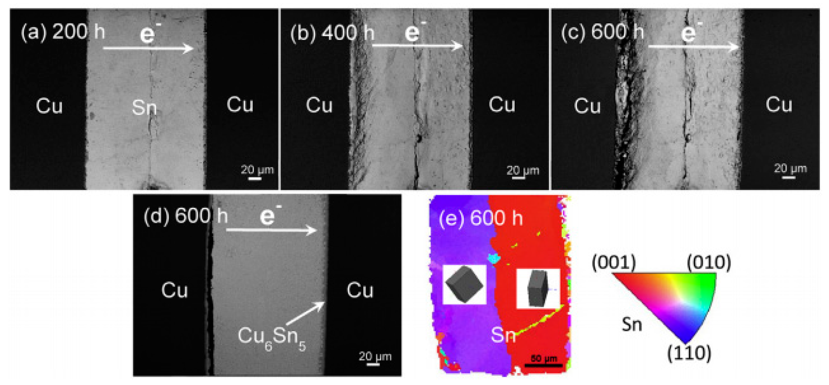 Coatings 12 01752 g006