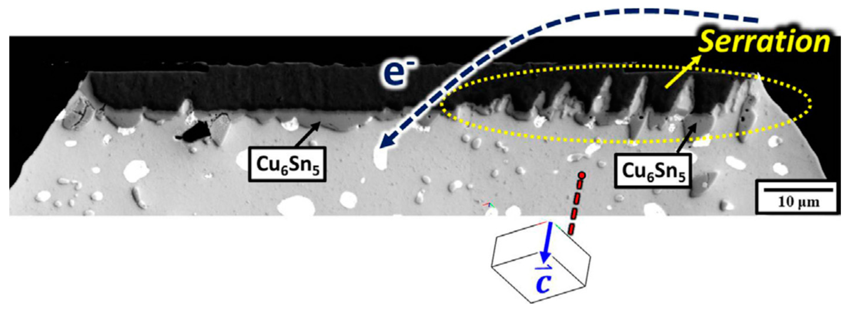 Coatings 12 01752 g008