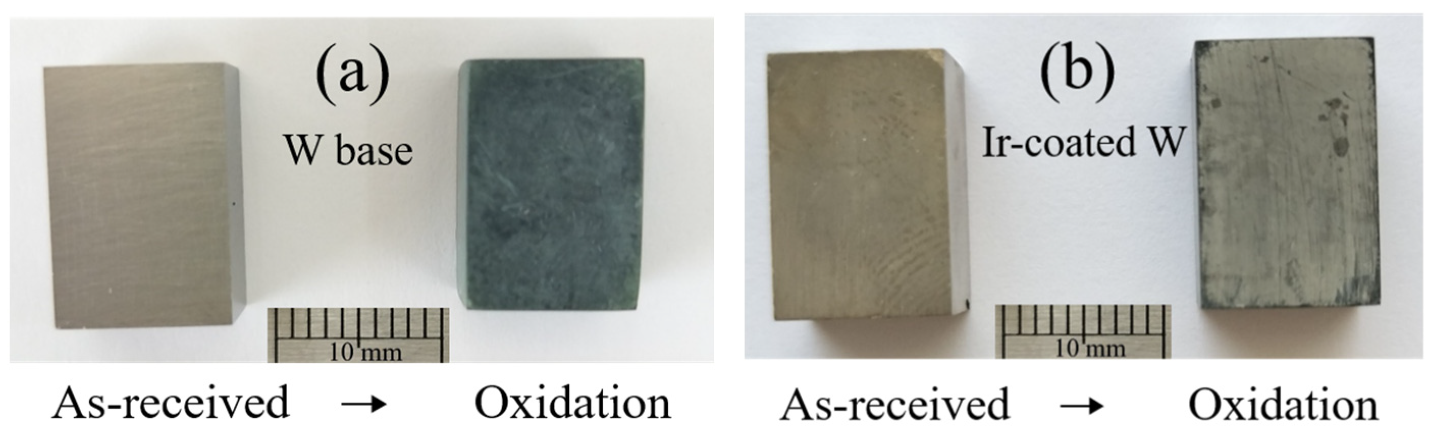 Coatings 12 01761 g004 Coatings 12 01761 g004