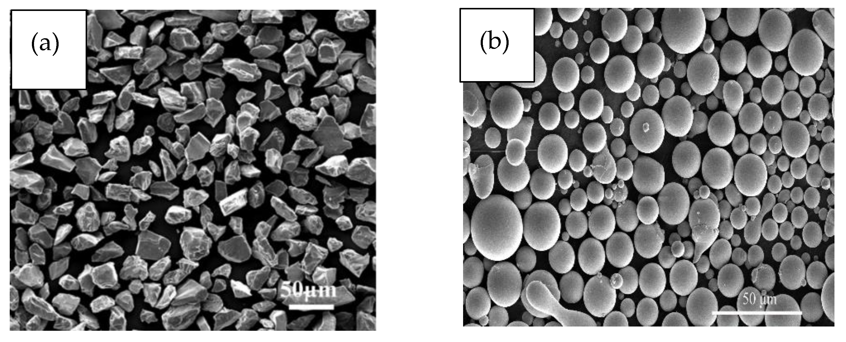 Coatings 12 01763 g001