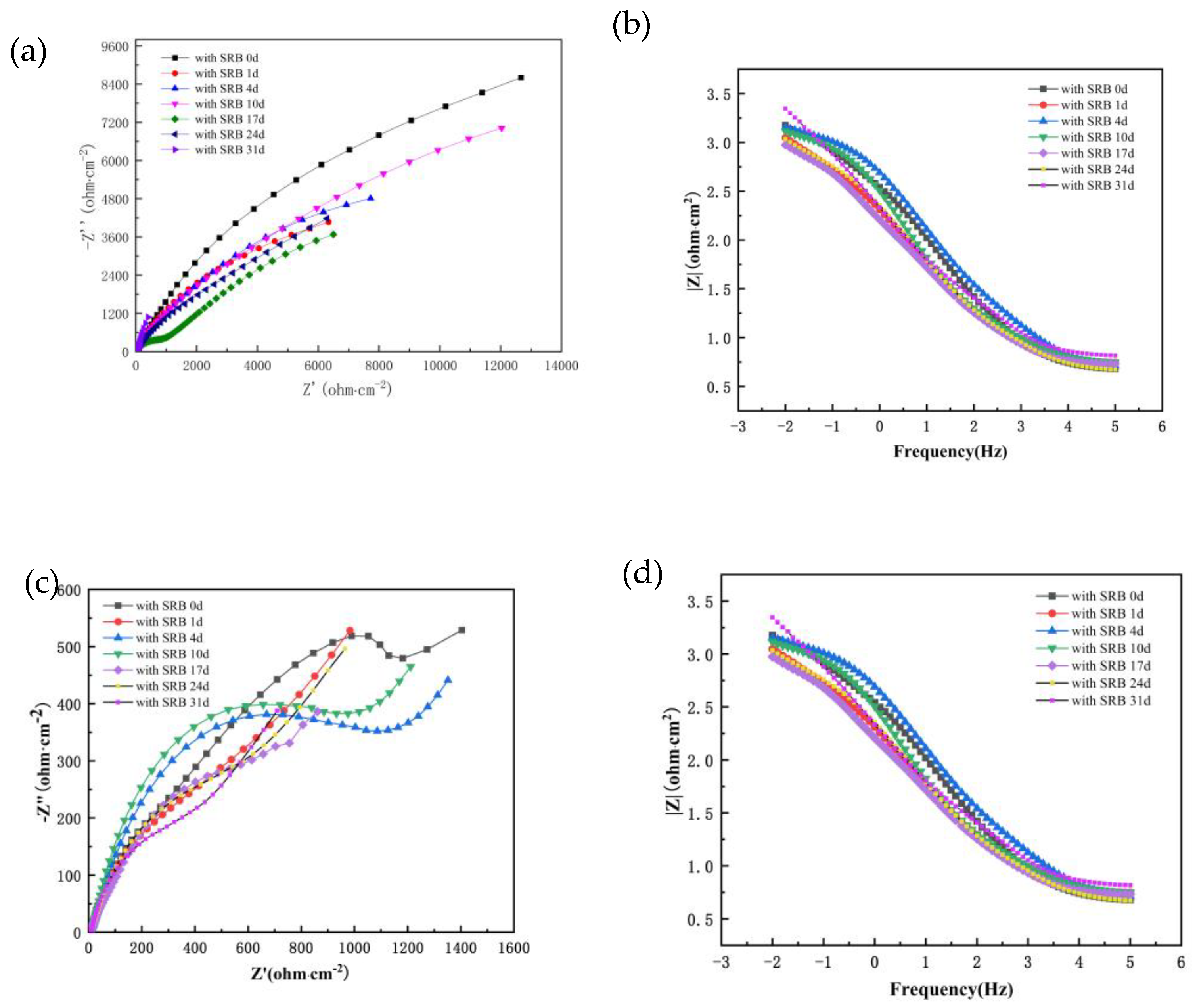 Coatings 12 01763 g006