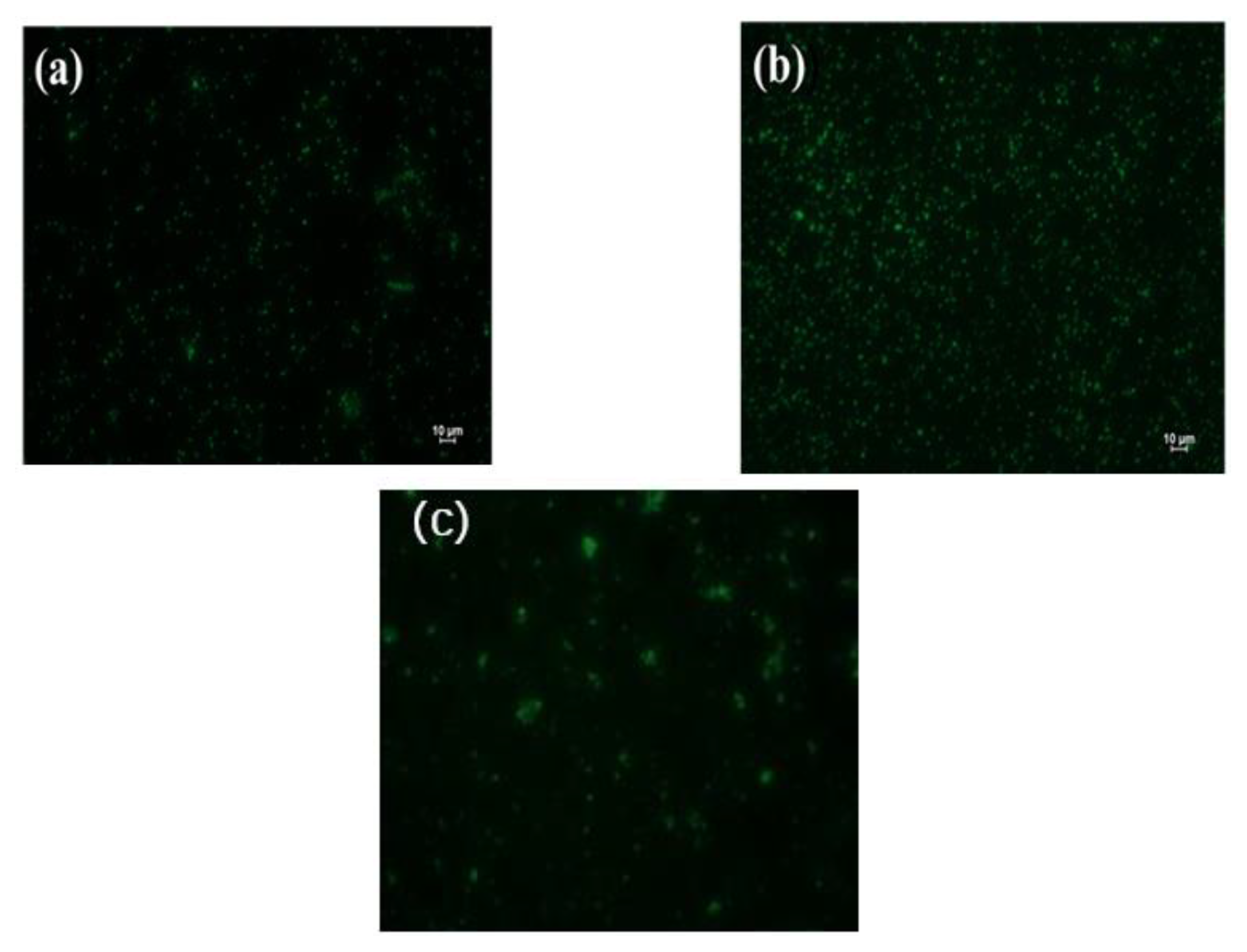 Coatings 12 01763 g009