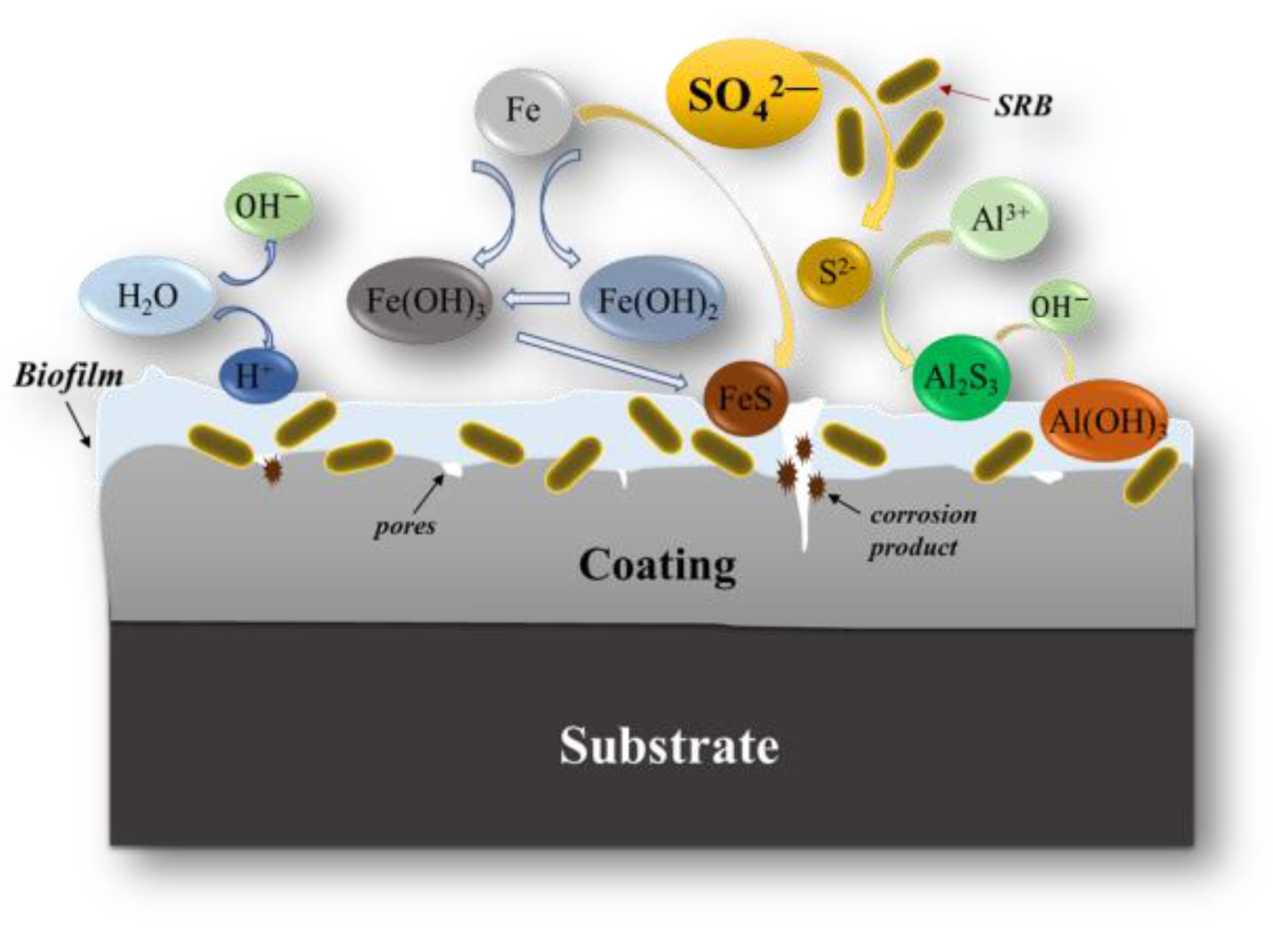 Coatings 12 01763 g011