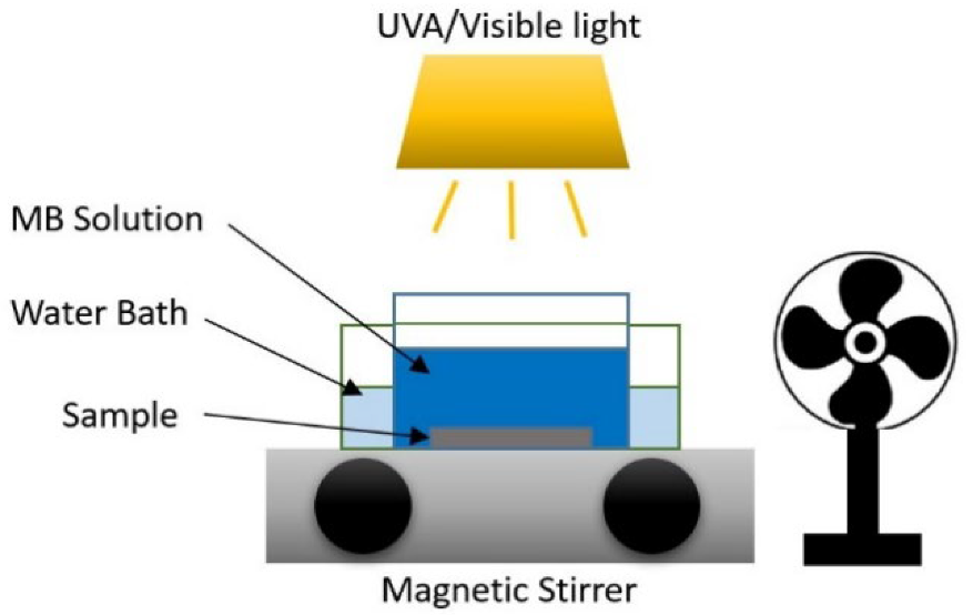 Coatings 12 01764 g002