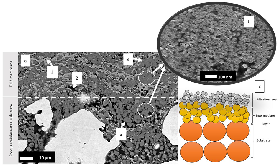Coatings 12 01764 g006