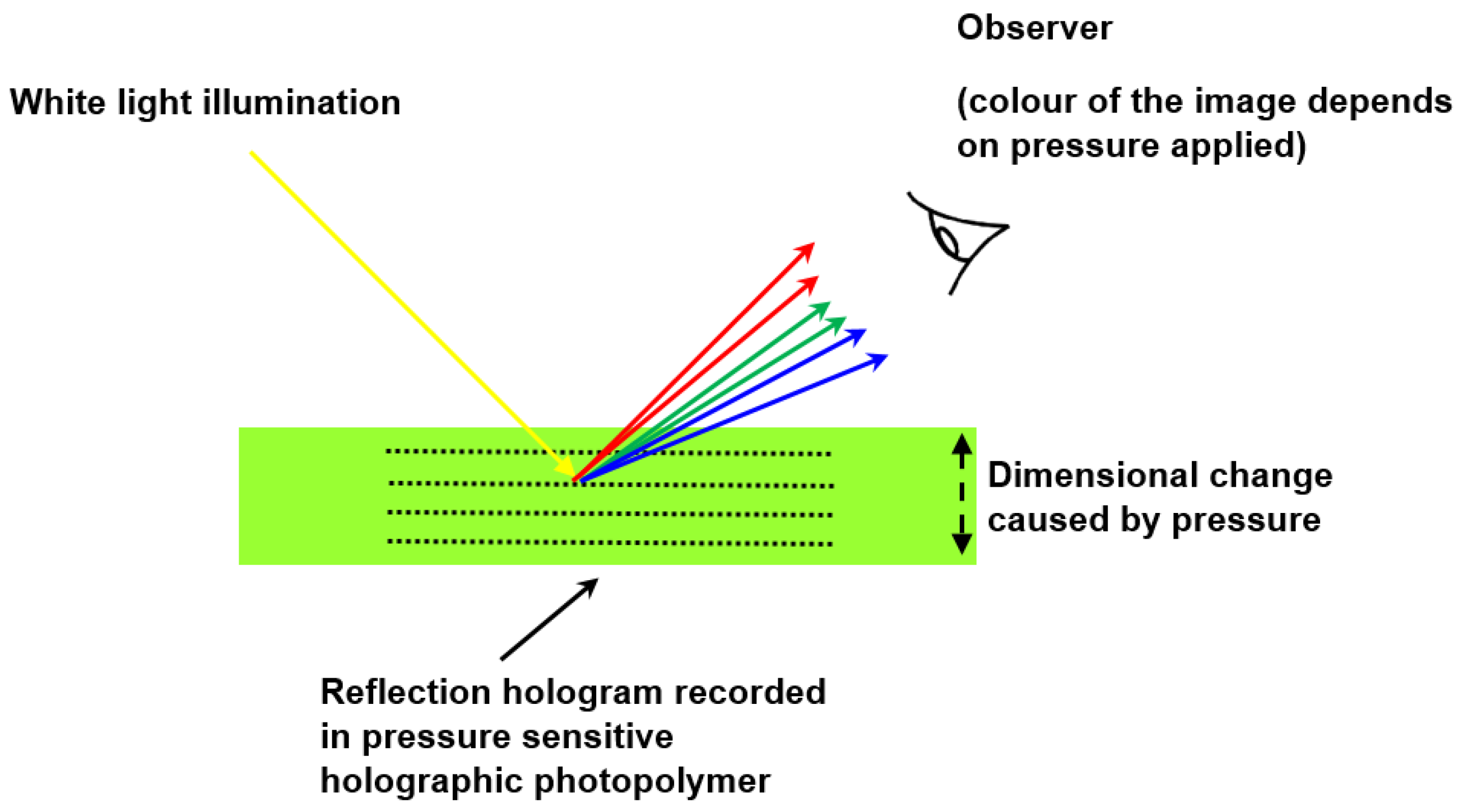 Coatings 12 01765 g005