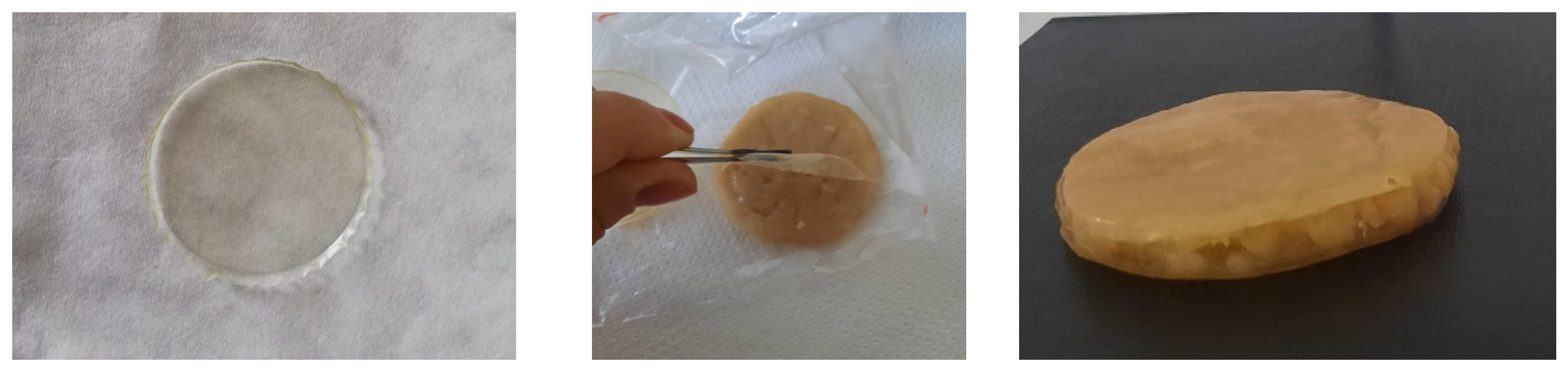 Coatings 12 01770 g001 Coatings 12 01770 g001