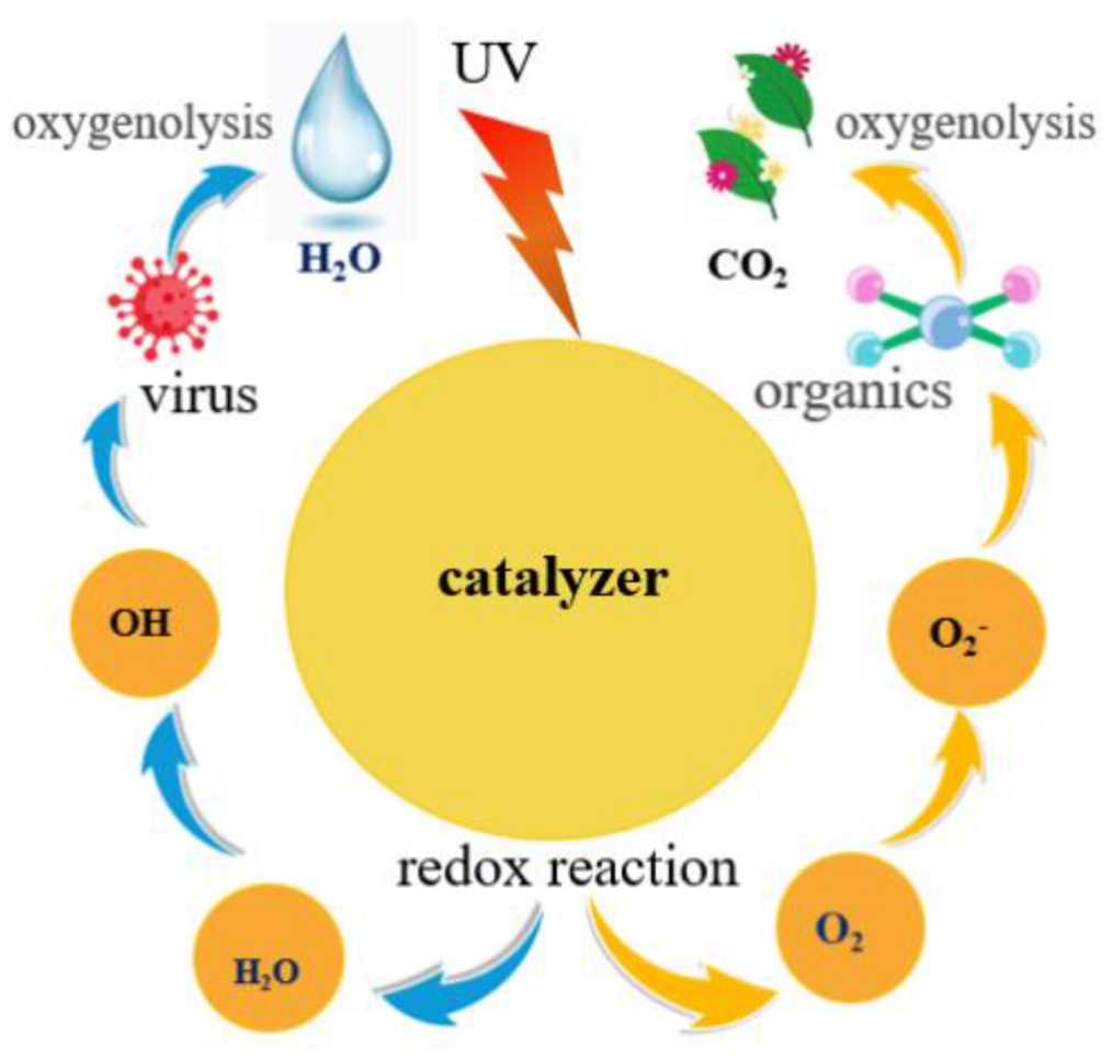 Coatings 12 01771 g007 Coatings 12 01771 g007
