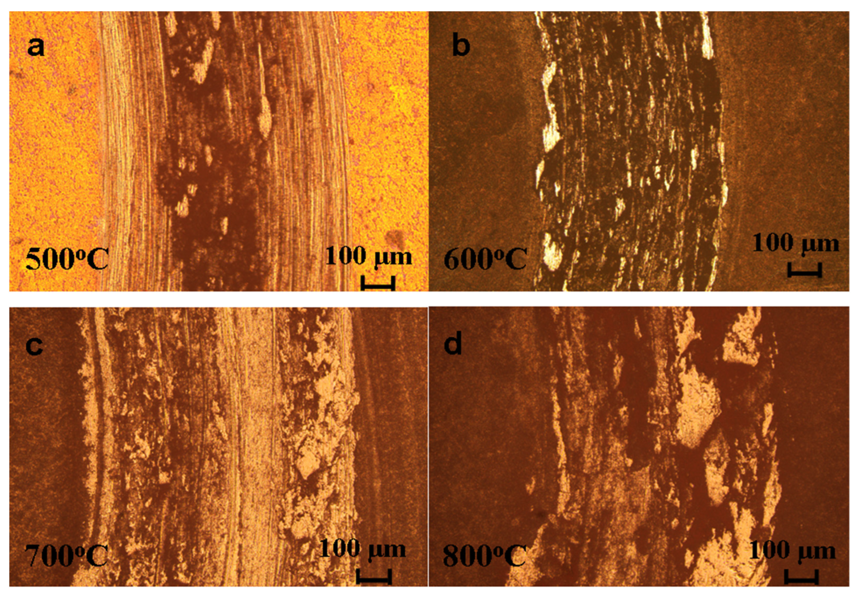 Coatings 12 01772 g008