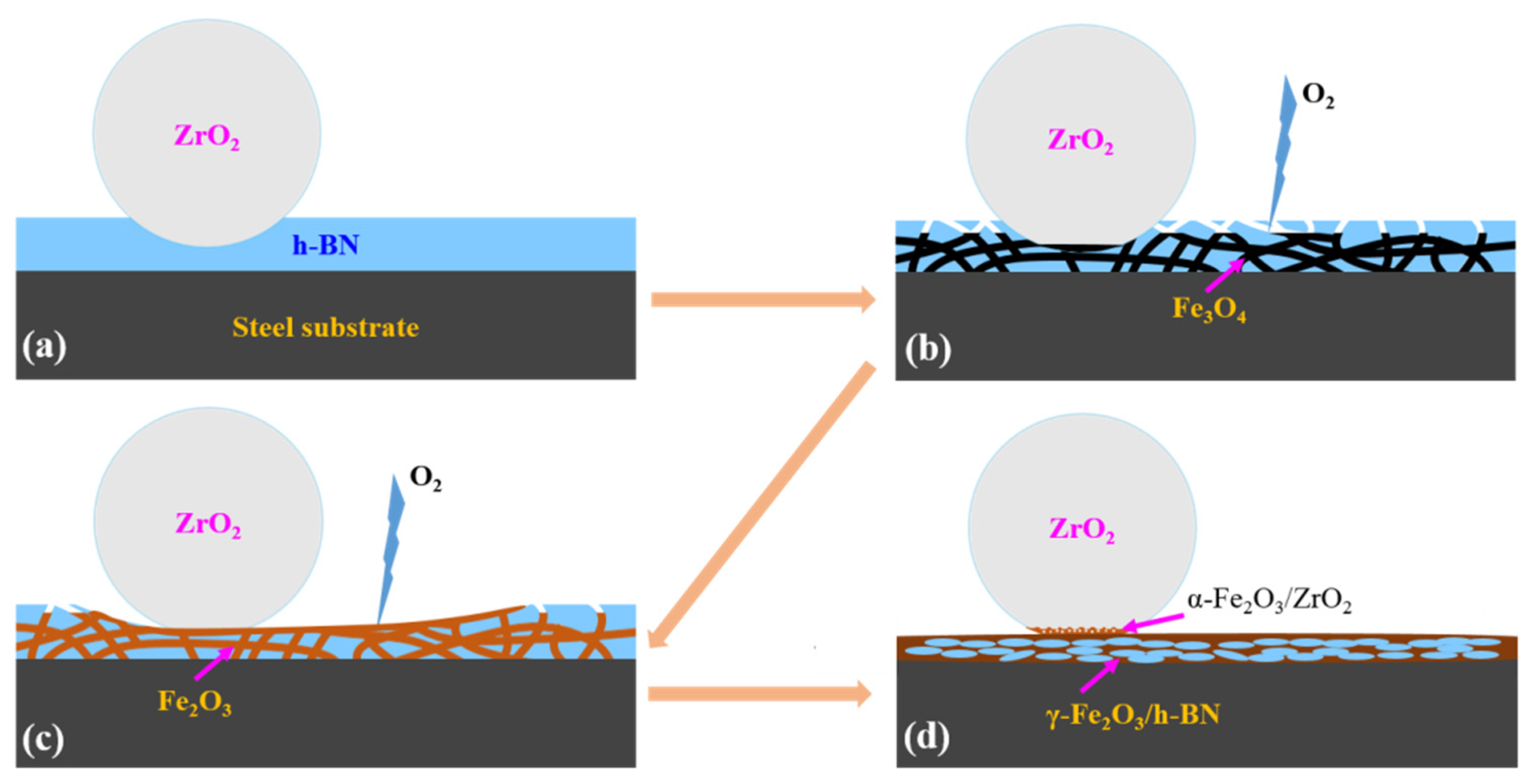Coatings 12 01772 g014