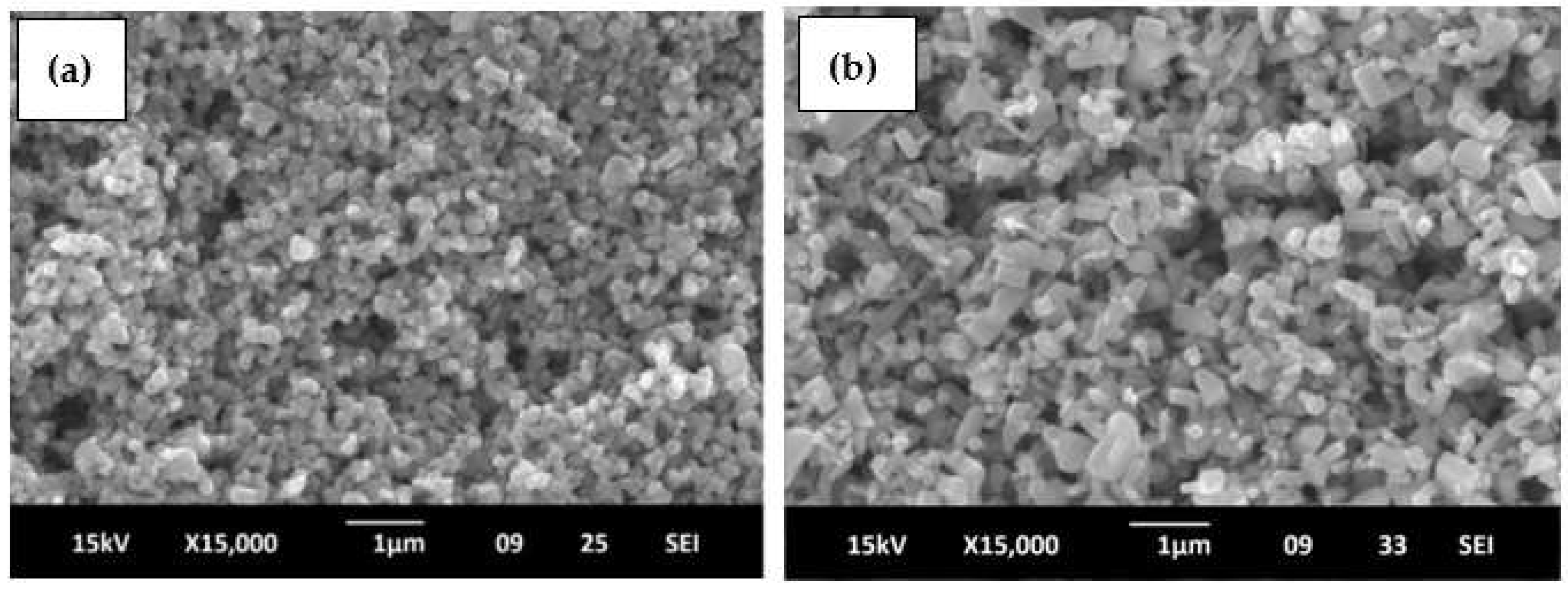 Coatings 12 01781 g007 Coatings 12 01781 g007