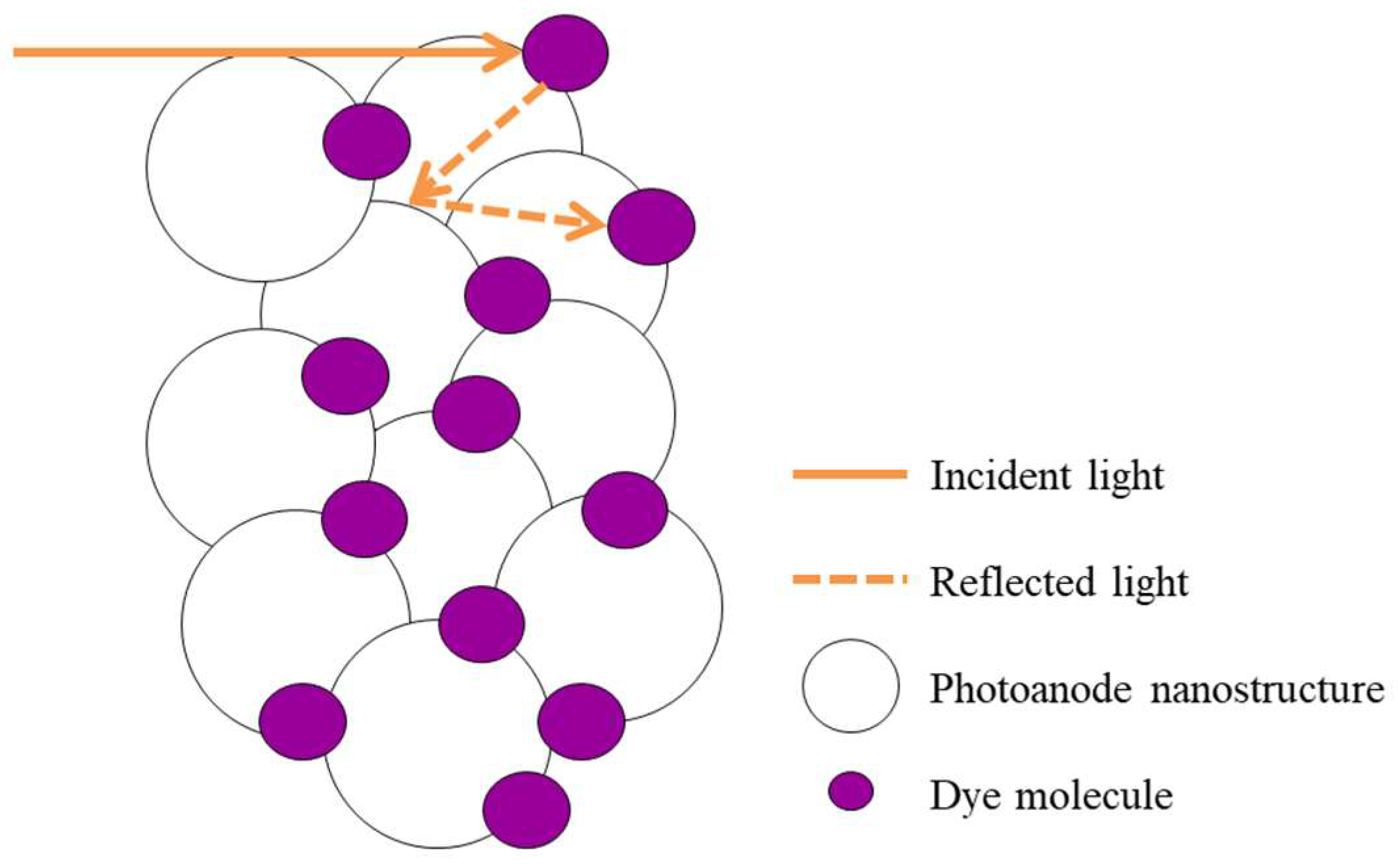 Coatings 12 01781 g008 Coatings 12 01781 g008