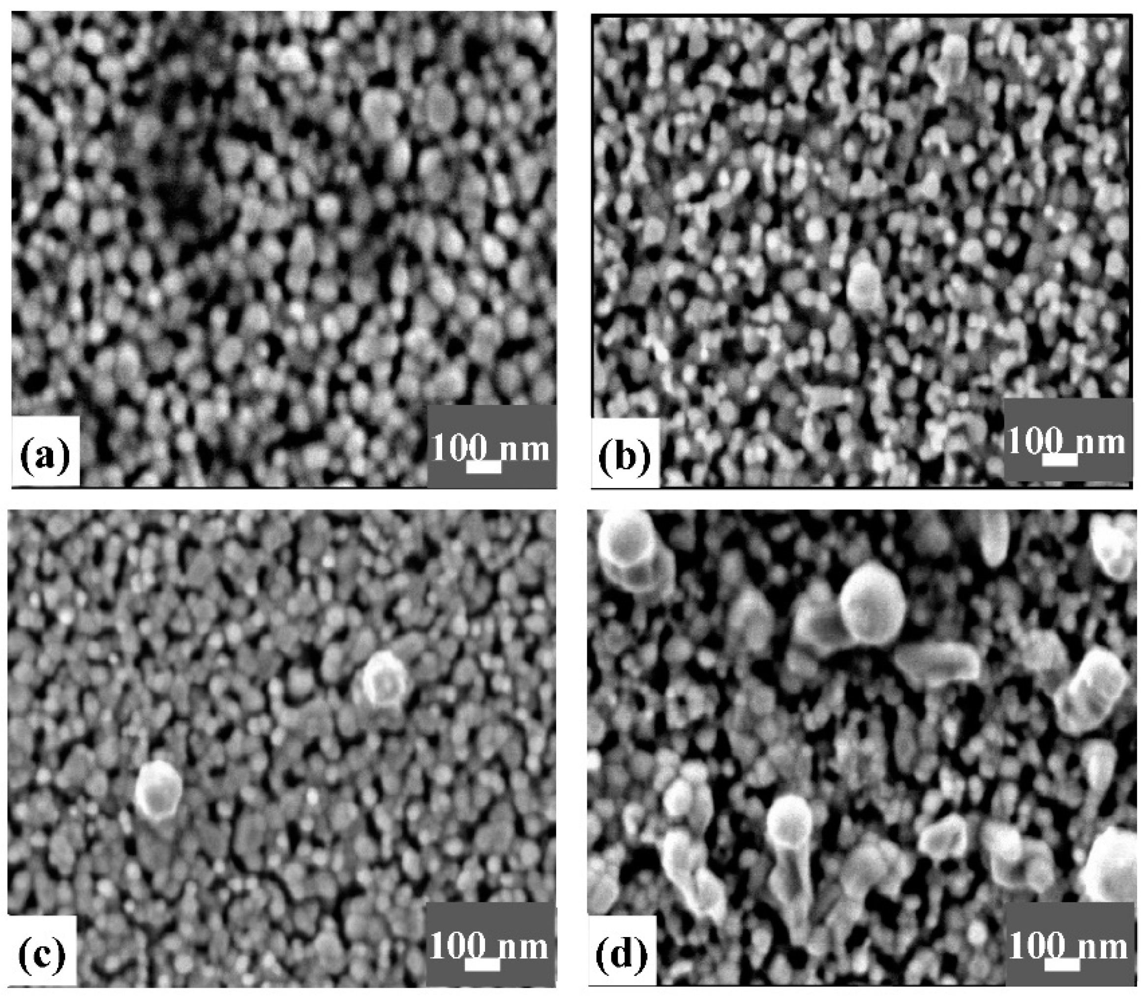 Coatings 12 01782 g005