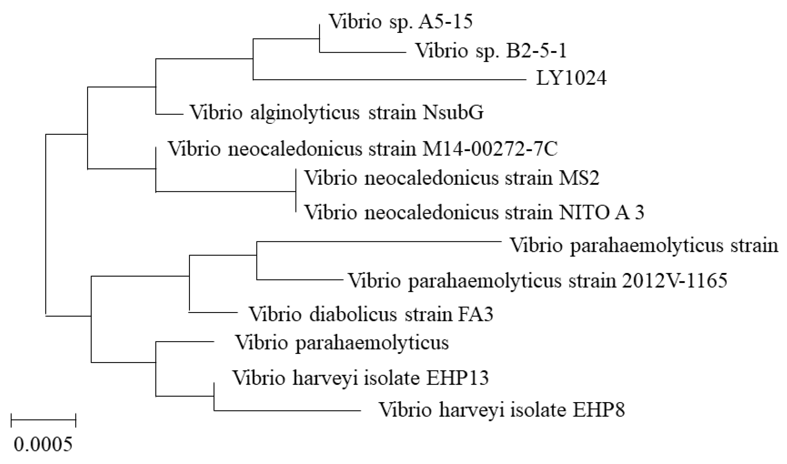 Coatings 12 01786 g002 Coatings 12 01786 g002