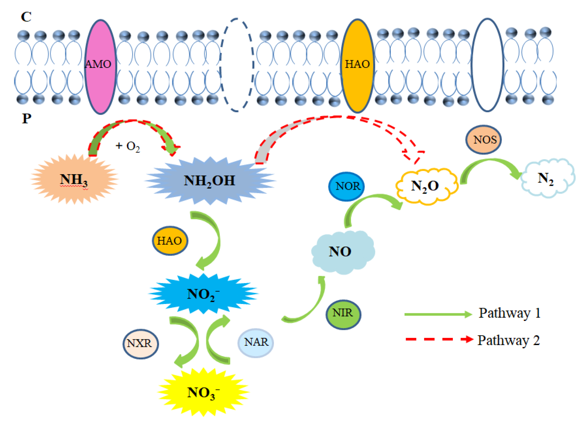 Coatings 12 01786 g010 Coatings 12 01786 g010