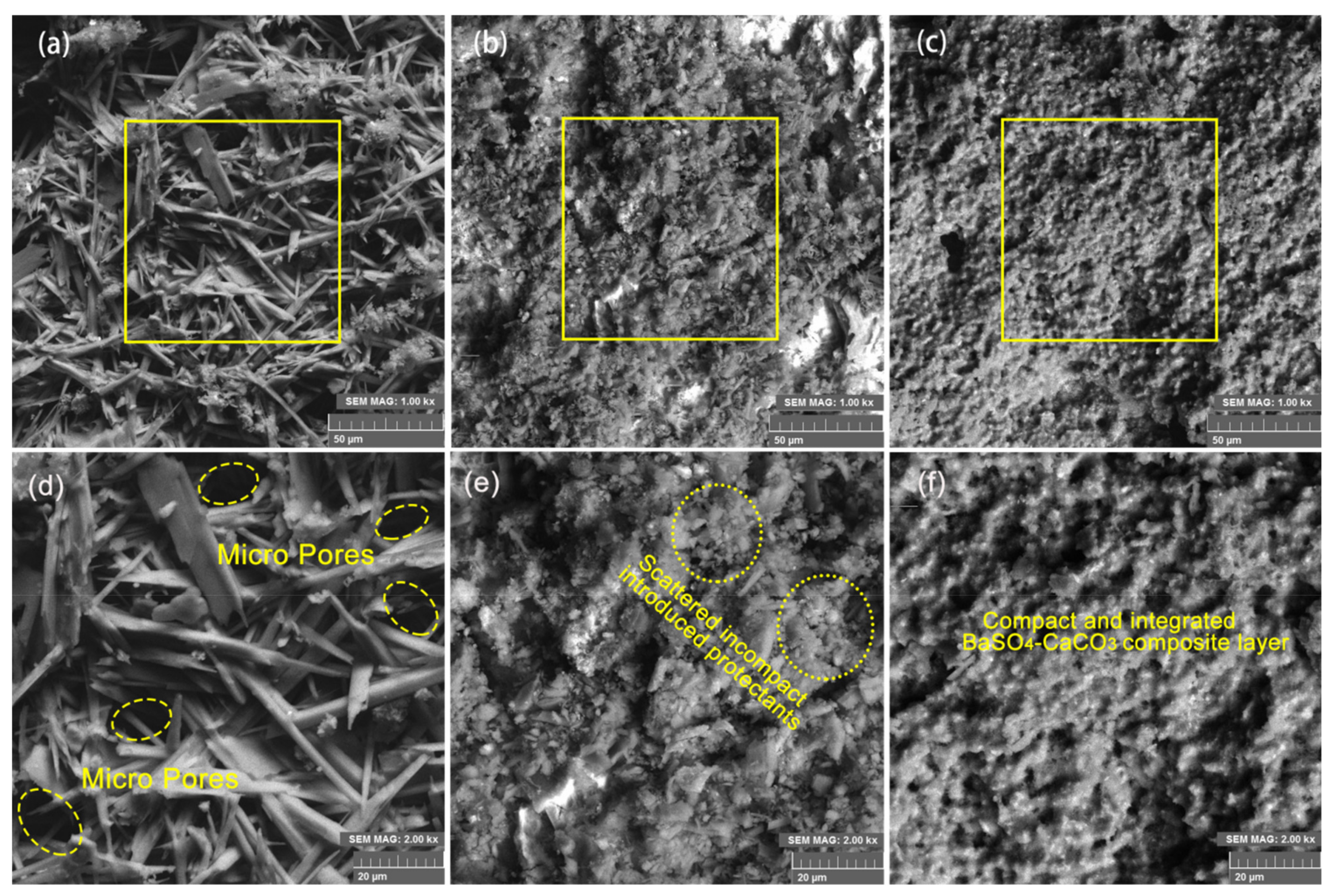 Coatings 12 01793 g002 Coatings 12 01793 g002