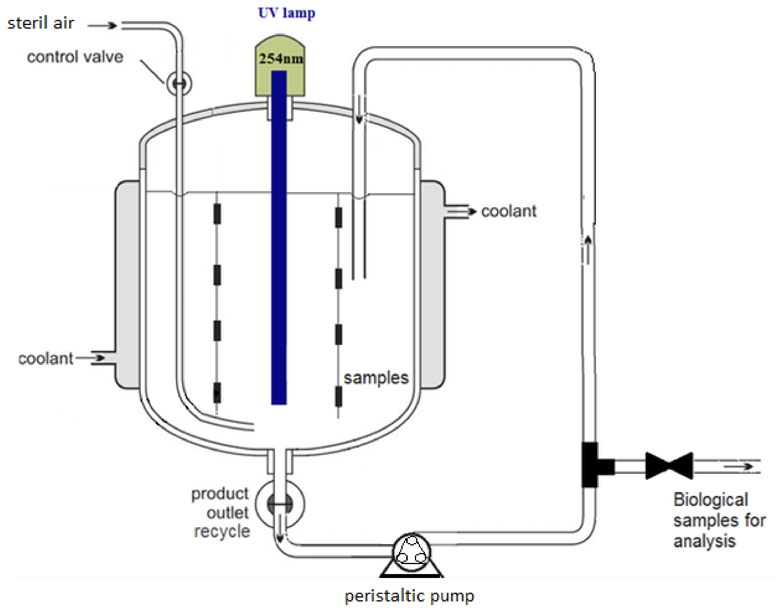 Coatings 12 01794 g001