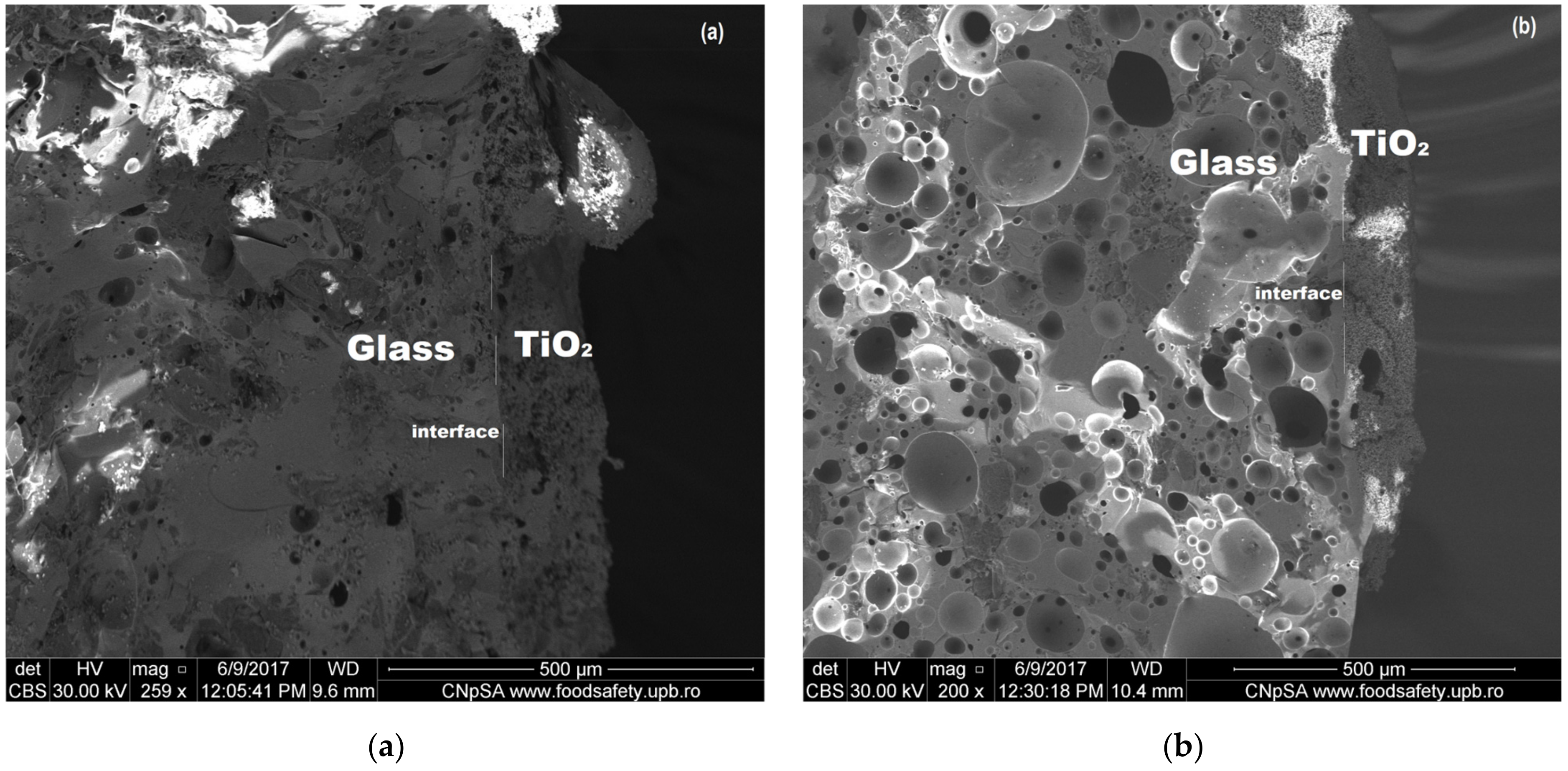 Coatings 12 01794 g003