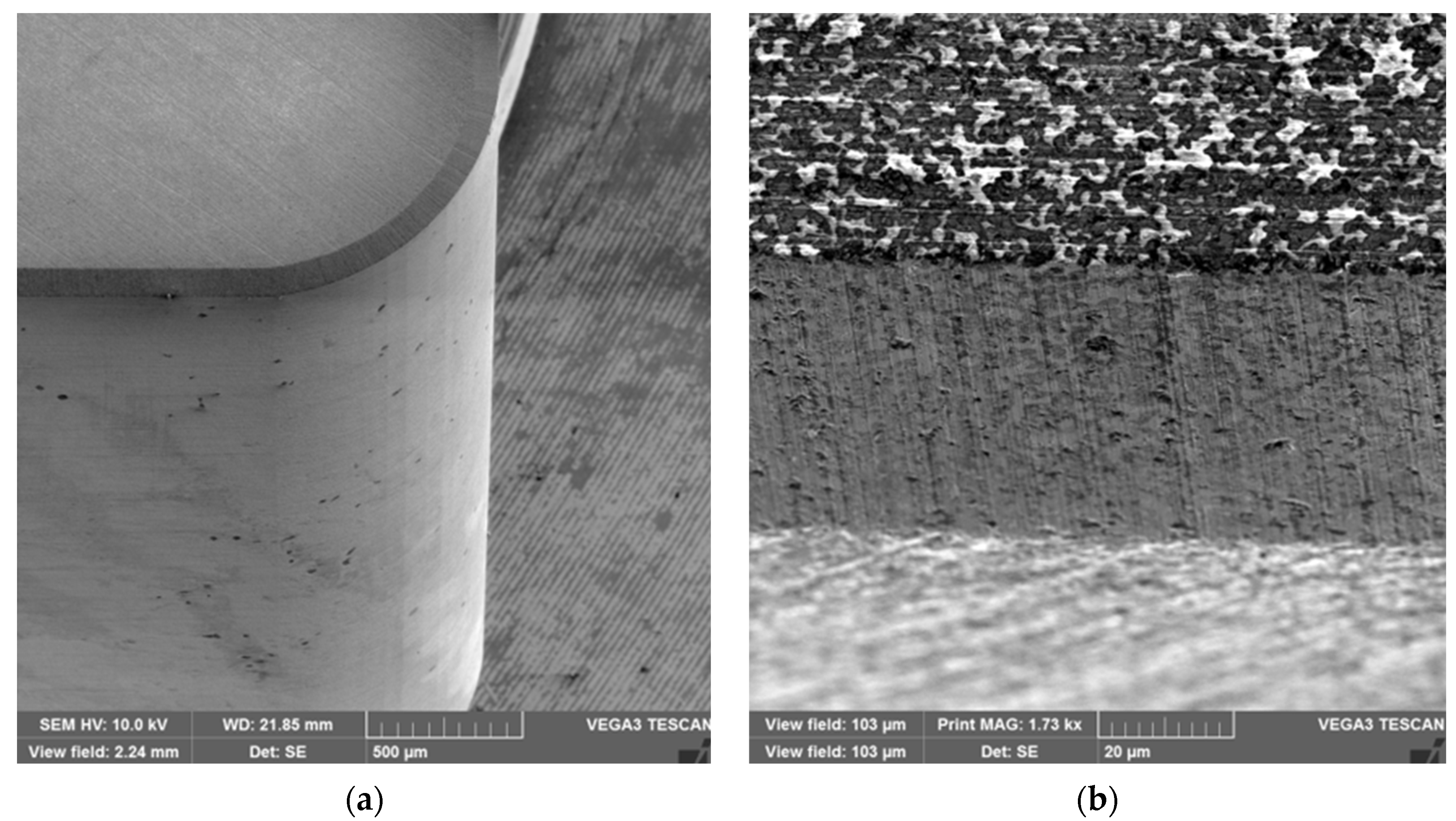 Coatings 12 01801 g002