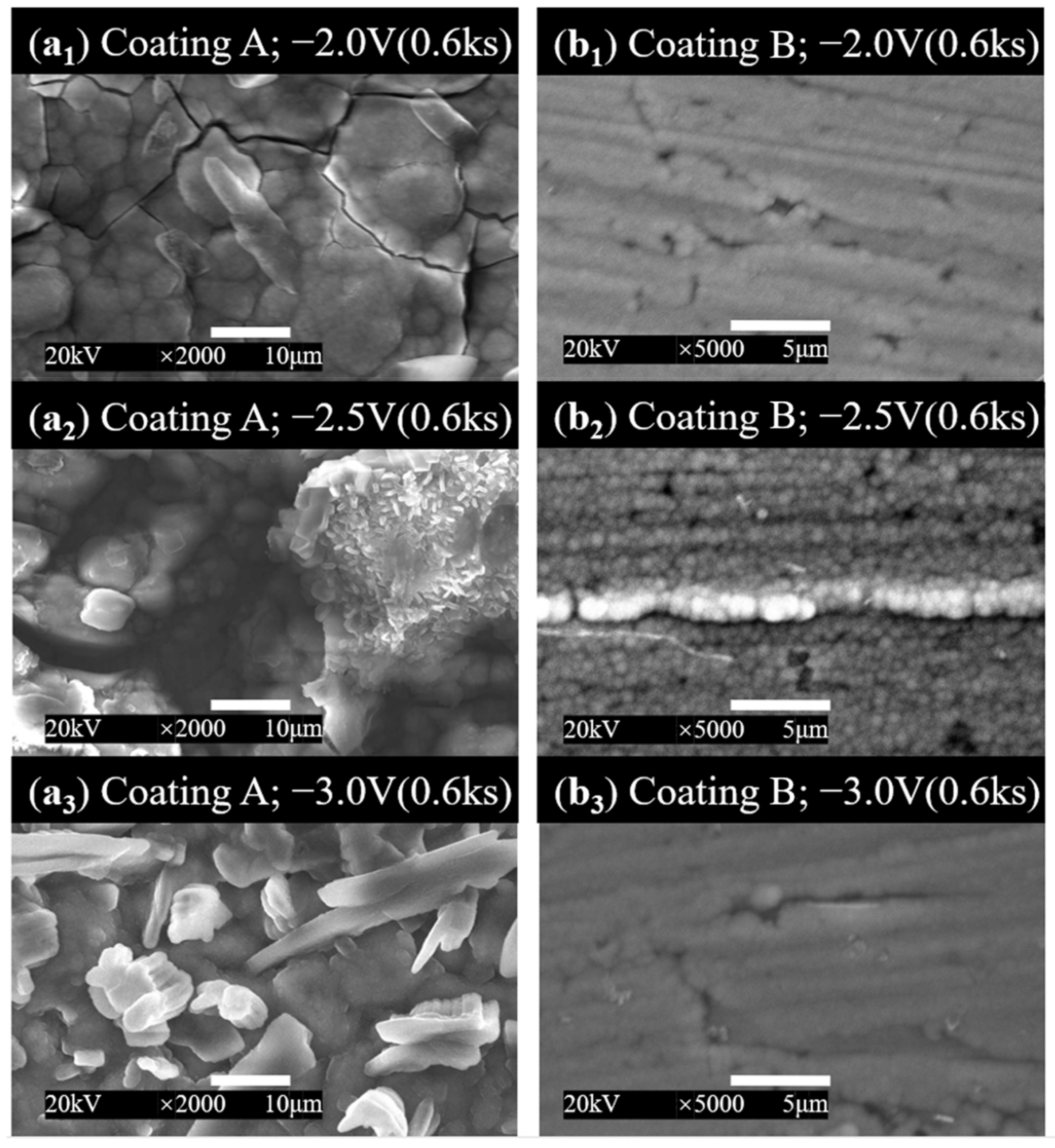 Coatings 12 01804 g003 Coatings 12 01804 g003
