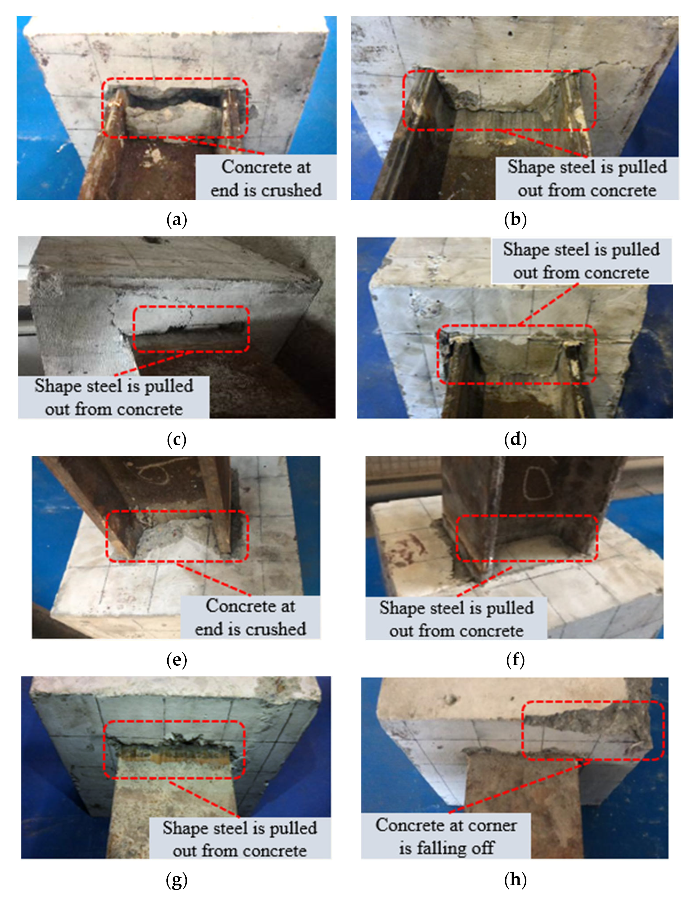 Coatings 12 01806 g005