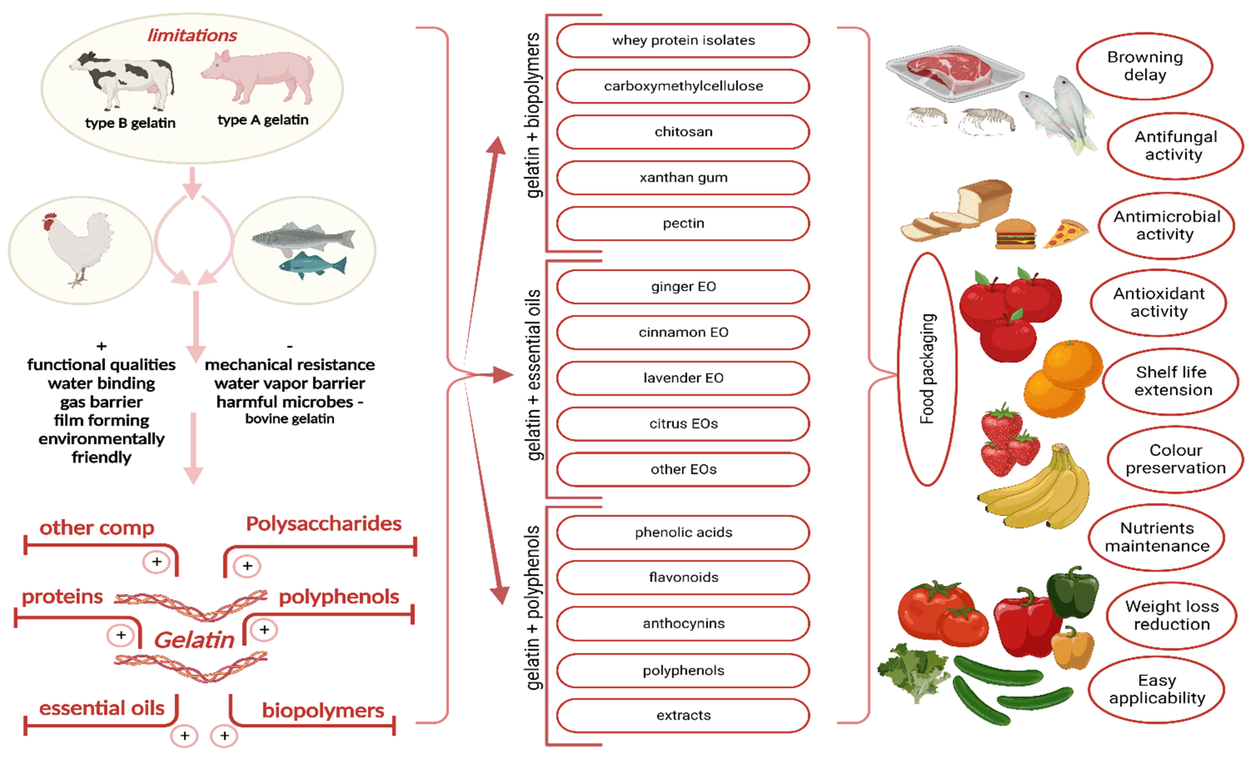 Coatings 12 01815 g001