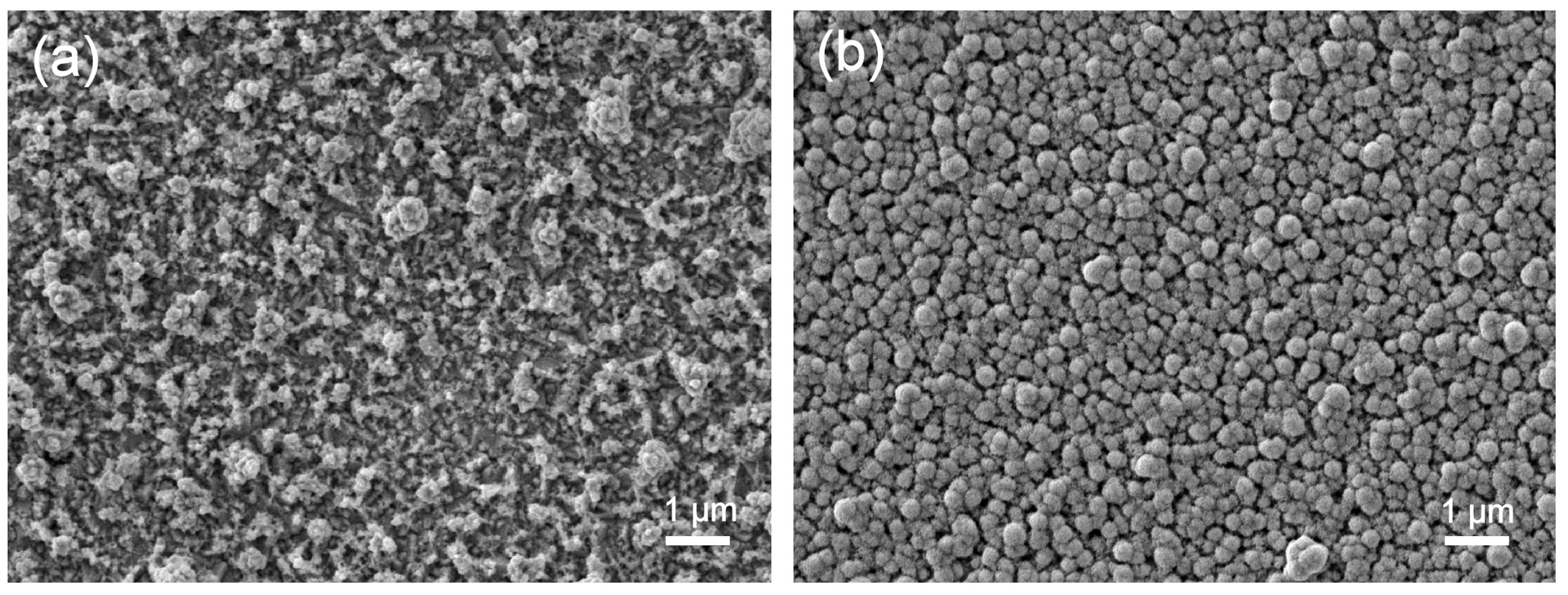 Coatings 12 01820 g003 Coatings 12 01820 g003