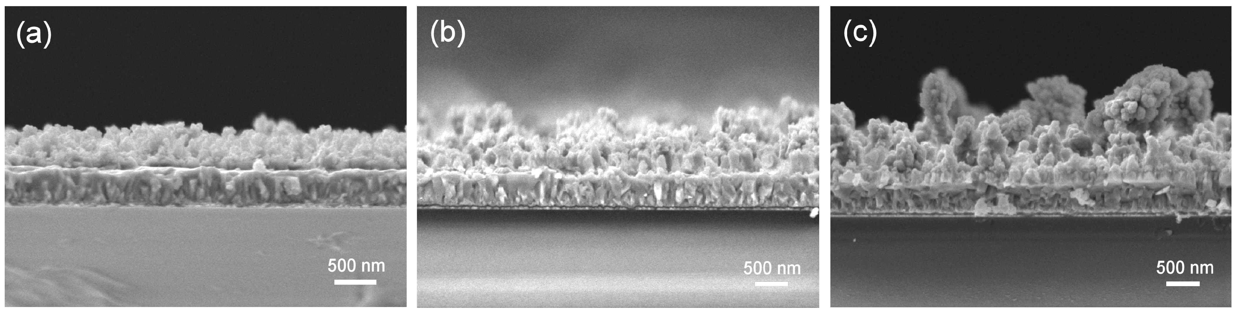 Coatings 12 01820 g005 Coatings 12 01820 g005