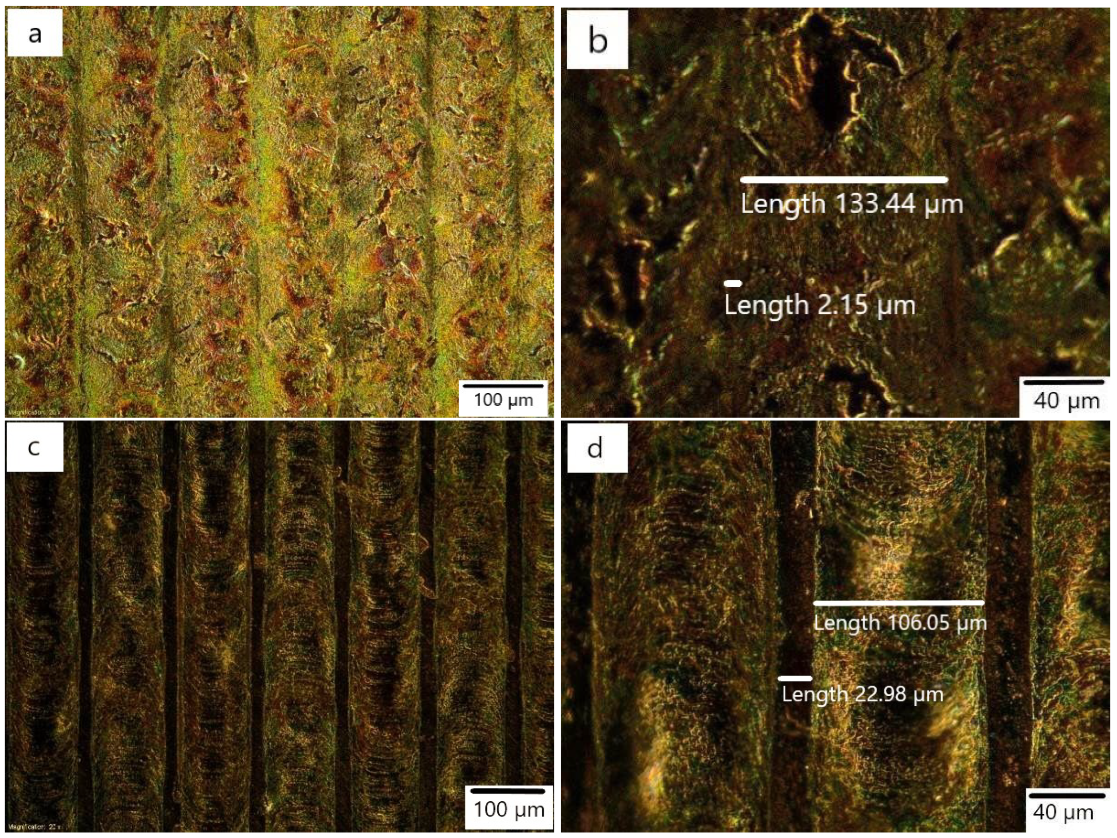Coatings 12 01821 g005